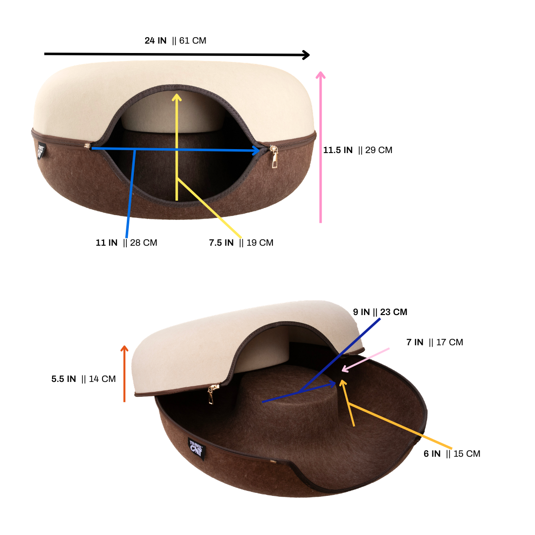 08_Donut_BedCave_Dimension_15809357-534e-45b0-81dc-13cc100b7abb.png