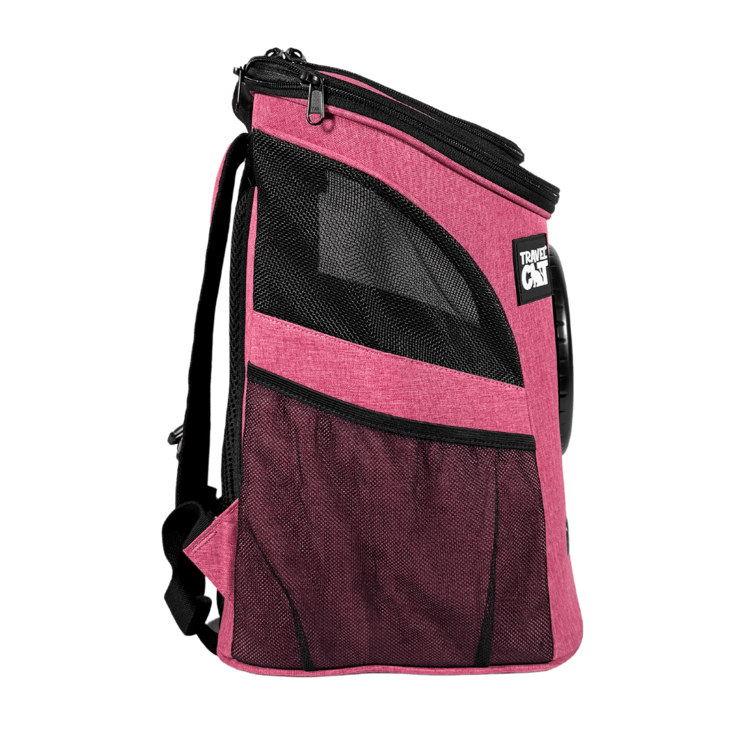 10_77ee6013-e86b-4a8c-be00-17bebe1e69d9.png