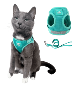 The Jackson Galaxy x Travel Cat Harness & Leash Set