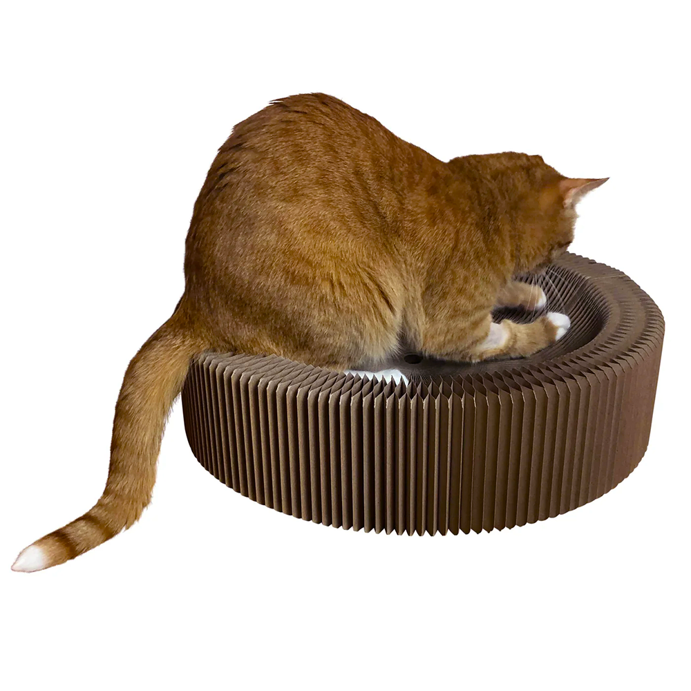 Artboard3_c0a8112f-3828-4dc2-841d-3b808b23d4cb.png