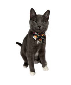 "The Hawaiian" Bandana & Collar Set
