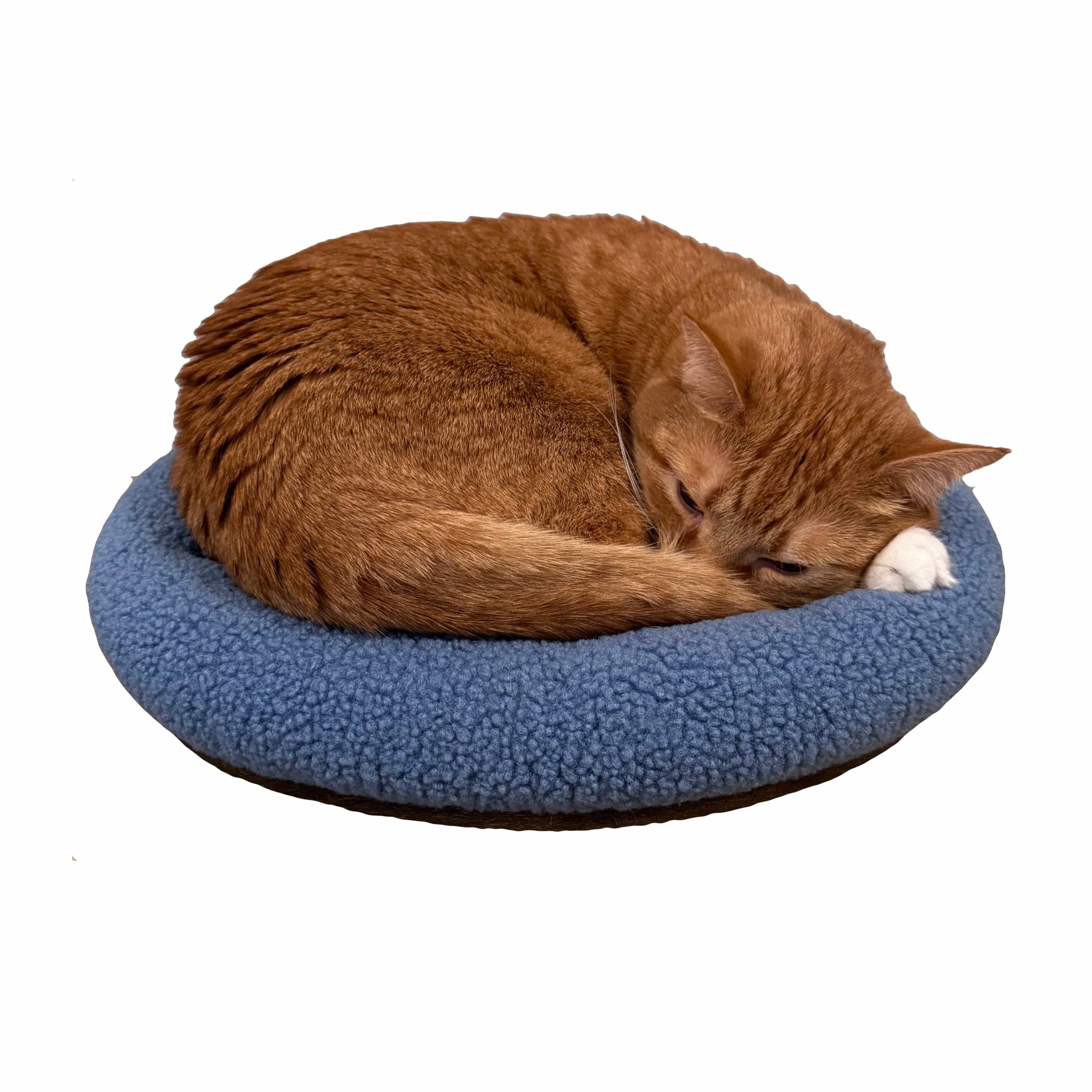 Bluebed1.jpg