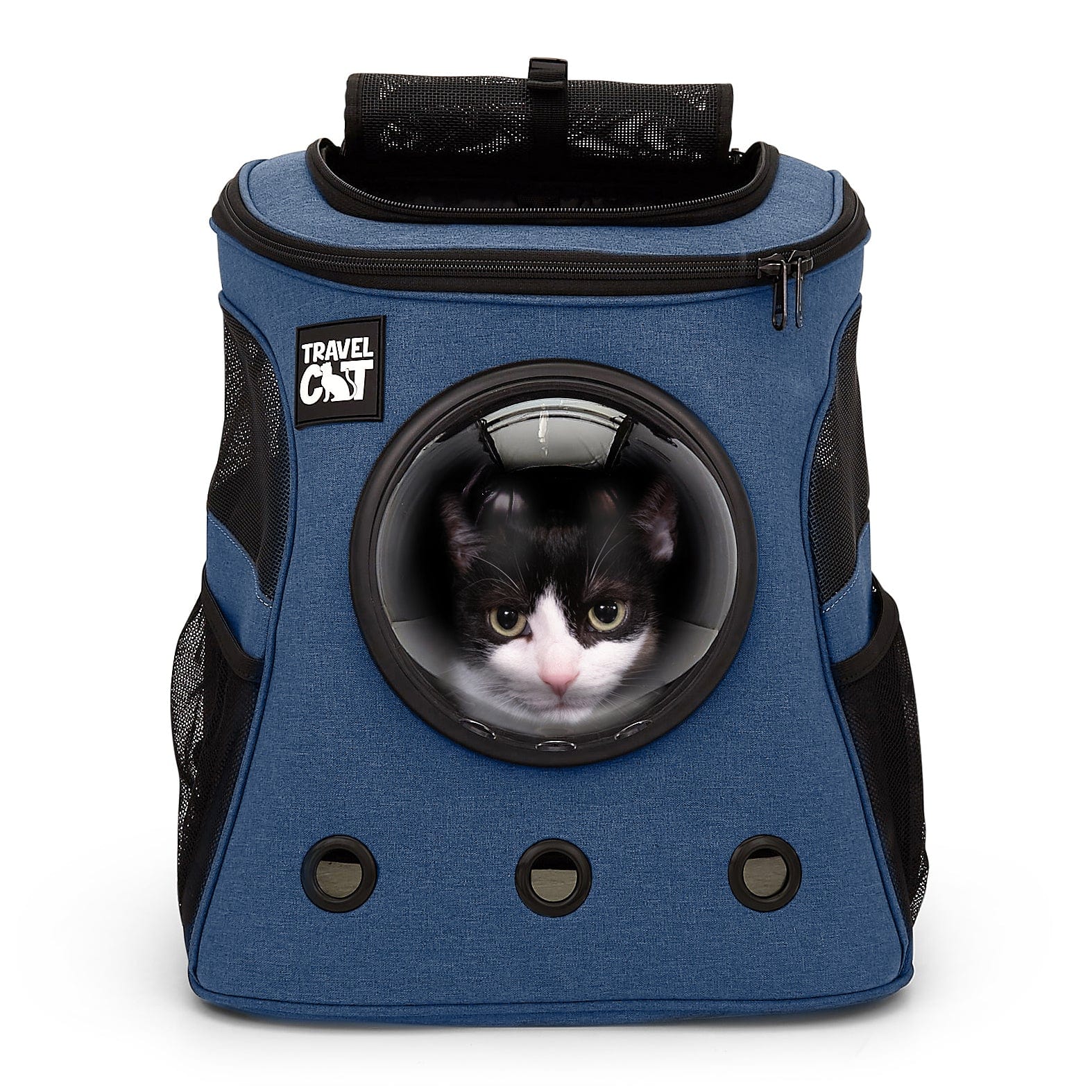 FatCatNavyChewy1_5e3ca9c4-d19c-44a9-9f98-963a3eb1f8c3.jpg