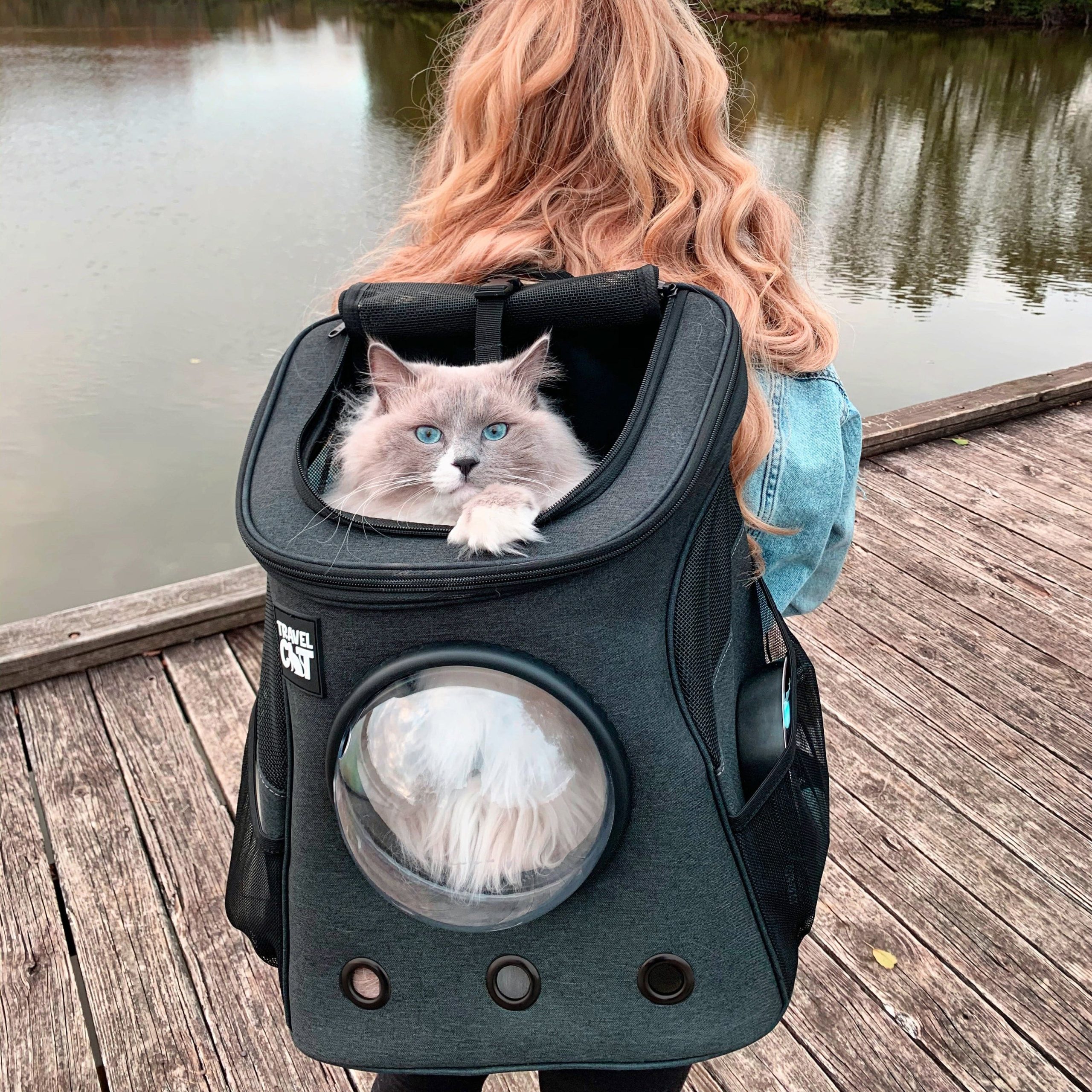 Fat_Cat_x_Costco_9_4ceffaf9-d6a4-48b8-a1ea-ef39becc373d.jpg