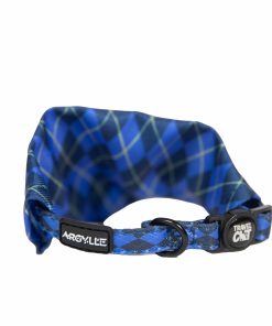 Argylle x Travel Cat Collar & Bandana Set - Officially Licensed