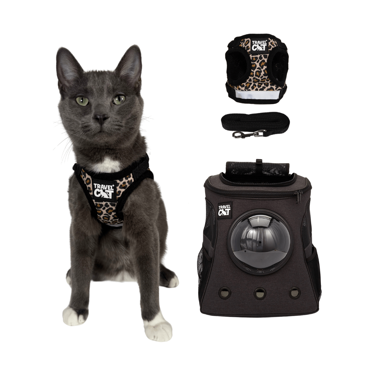 MidnightSafari_1b8b0f00-0a07-4d55-8b46-2035148ba375.png