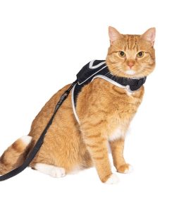 Stray x Travel Cat Harness & Leash Set - Limited Edition