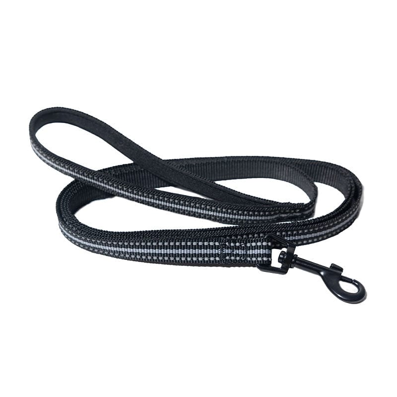 STRAYHARNESS3_0f904f17-997e-4cac-8cf3-2e0bd707c020.jpg