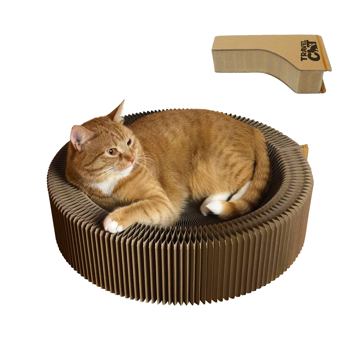 Scratcher-Main.png