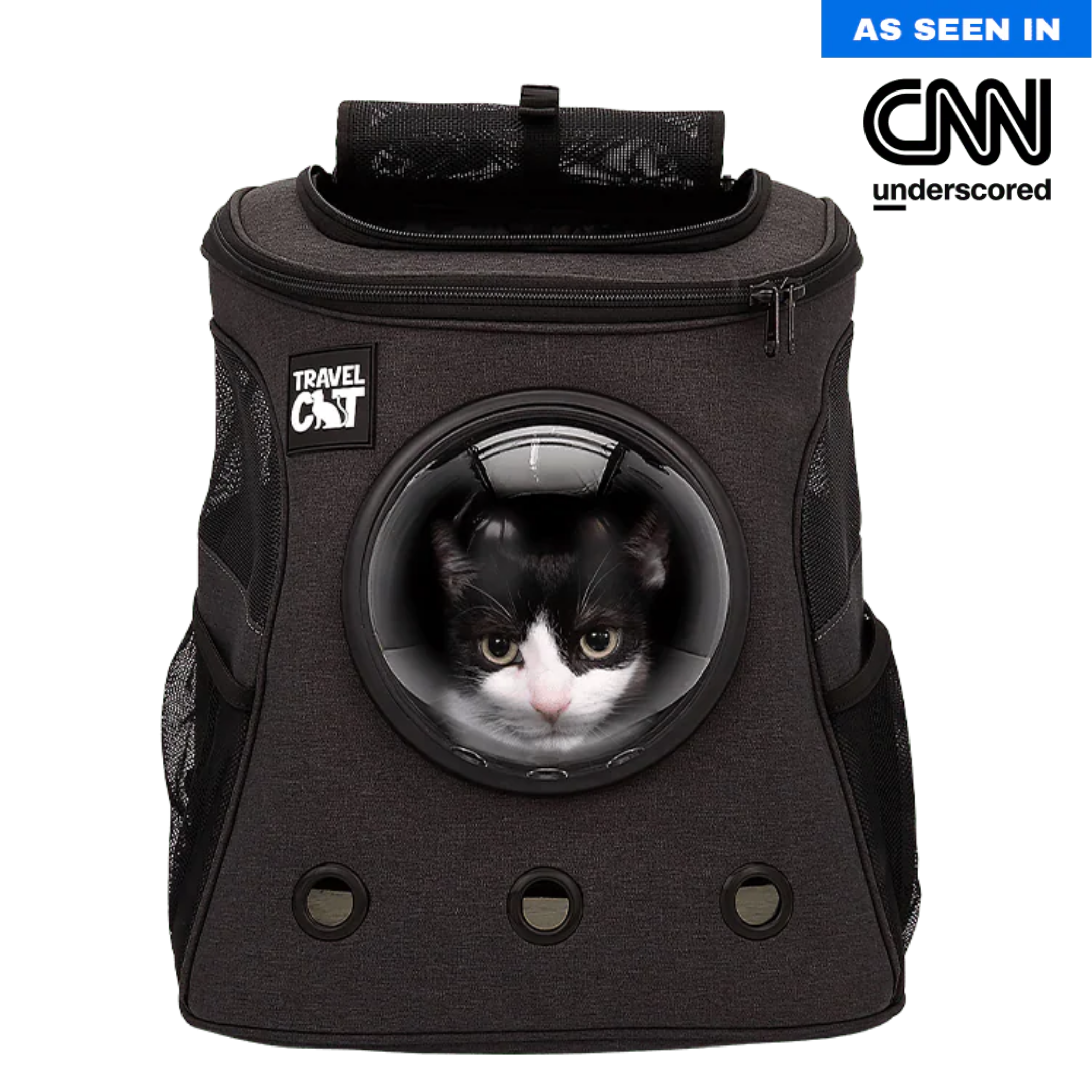 TheFatCat.png
