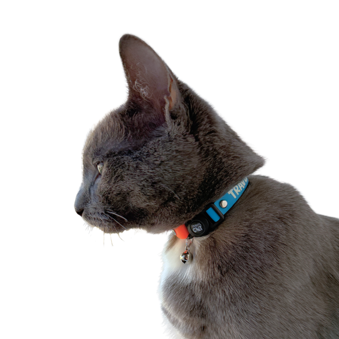 Untitleddesign_6.png