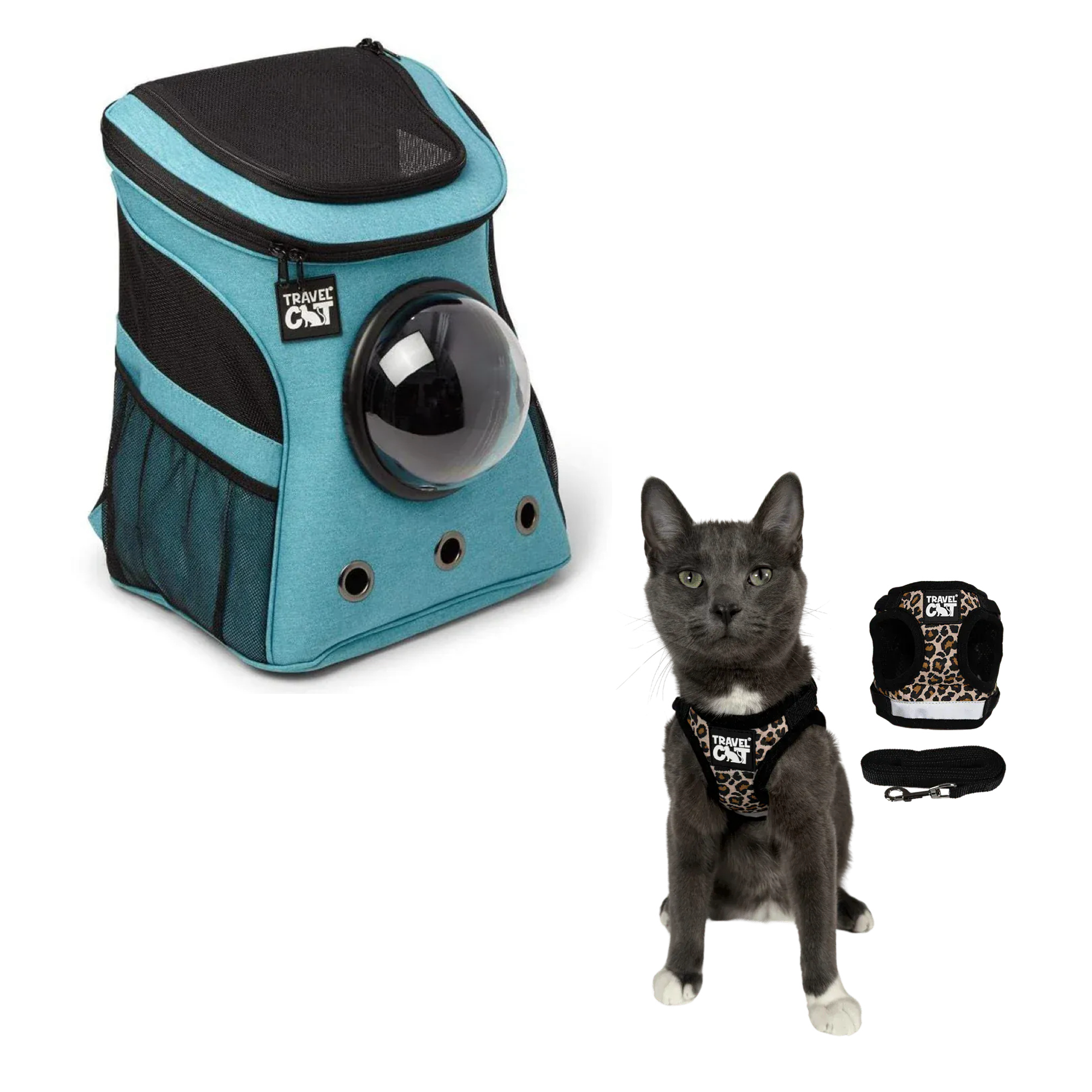 fat_cat_aqua__cheeta_1.png