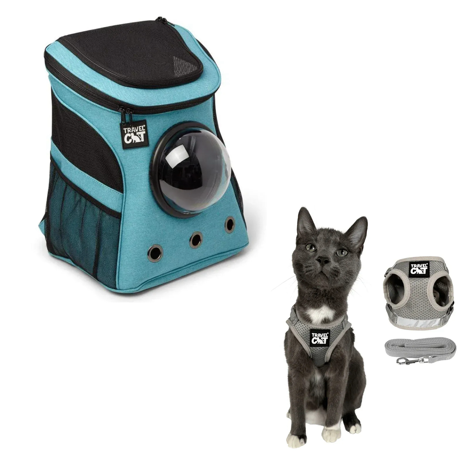 fat_cat_aqua__grey_1.png