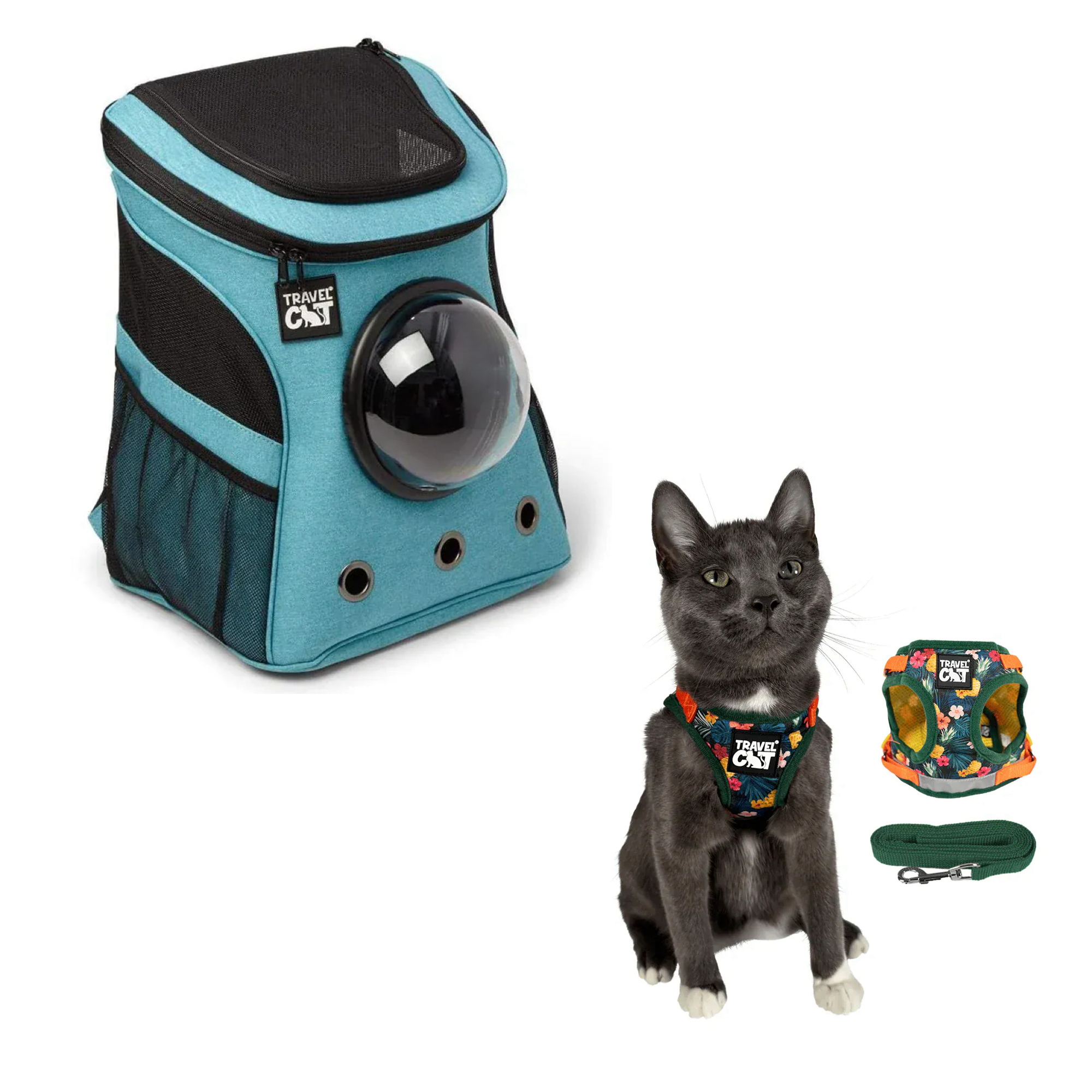 fat_cat_aqua__hawaiian_1.png