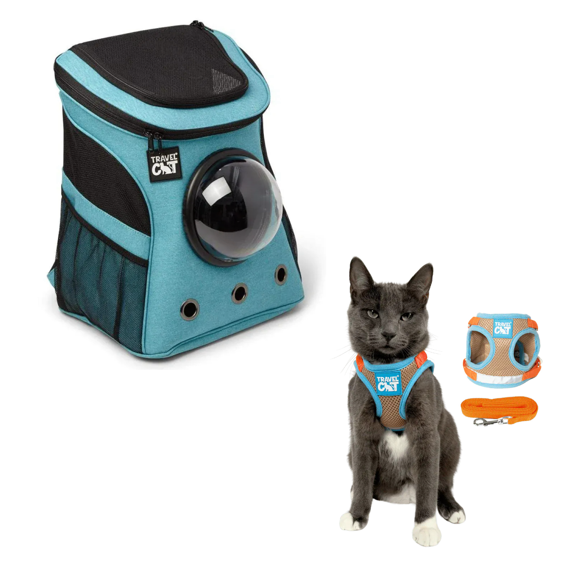 fat_cat_aqua__oasis_1.png