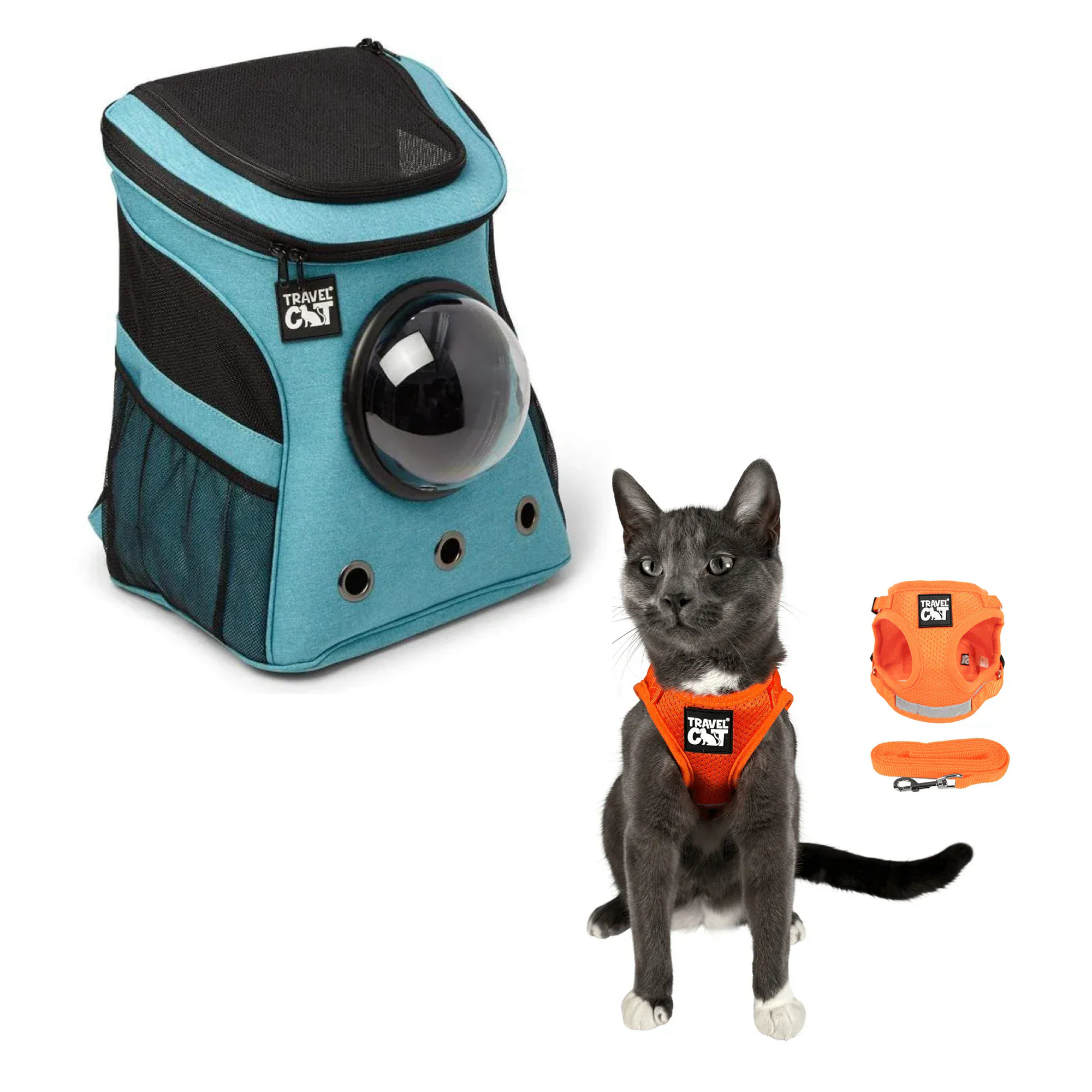 fat_cat_aqua__orange_1.png