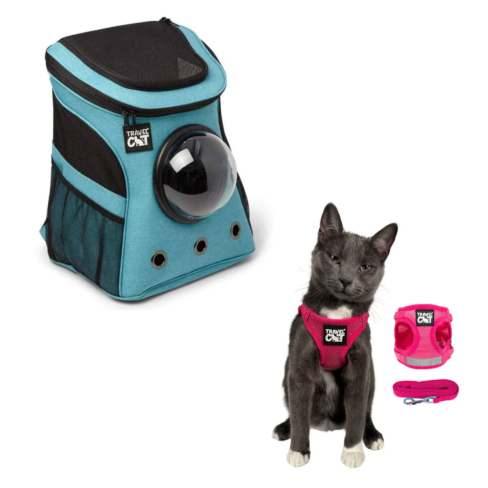 fat_cat_aqua__pink_2.png