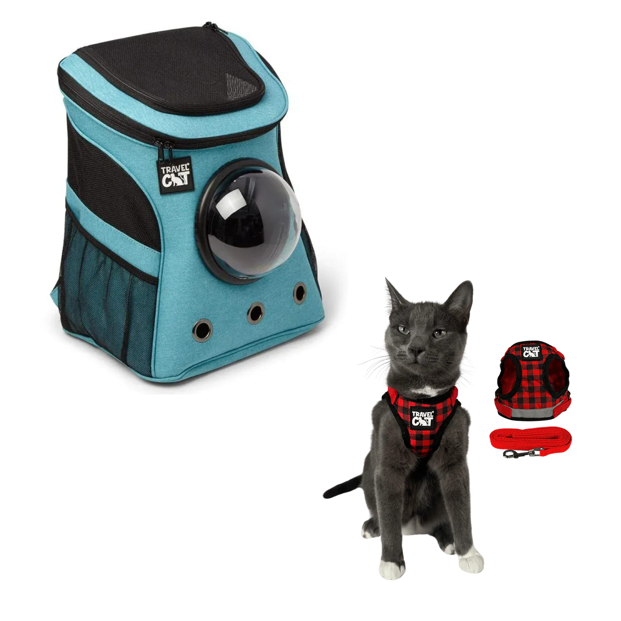 fat_cat_aqua__plaid_1.png