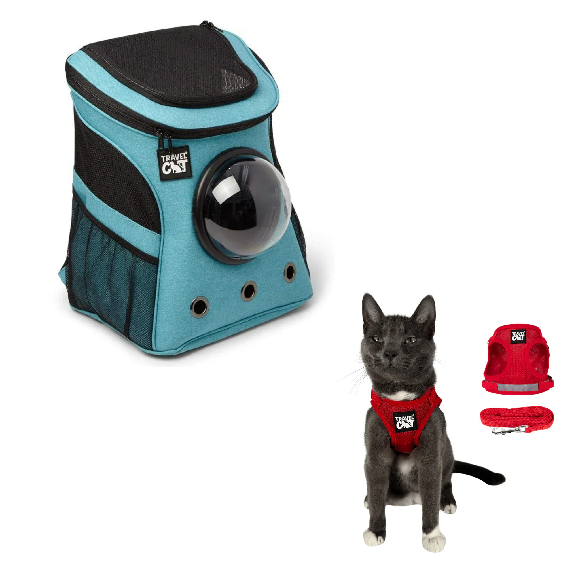 fat_cat_aqua__red_1.png