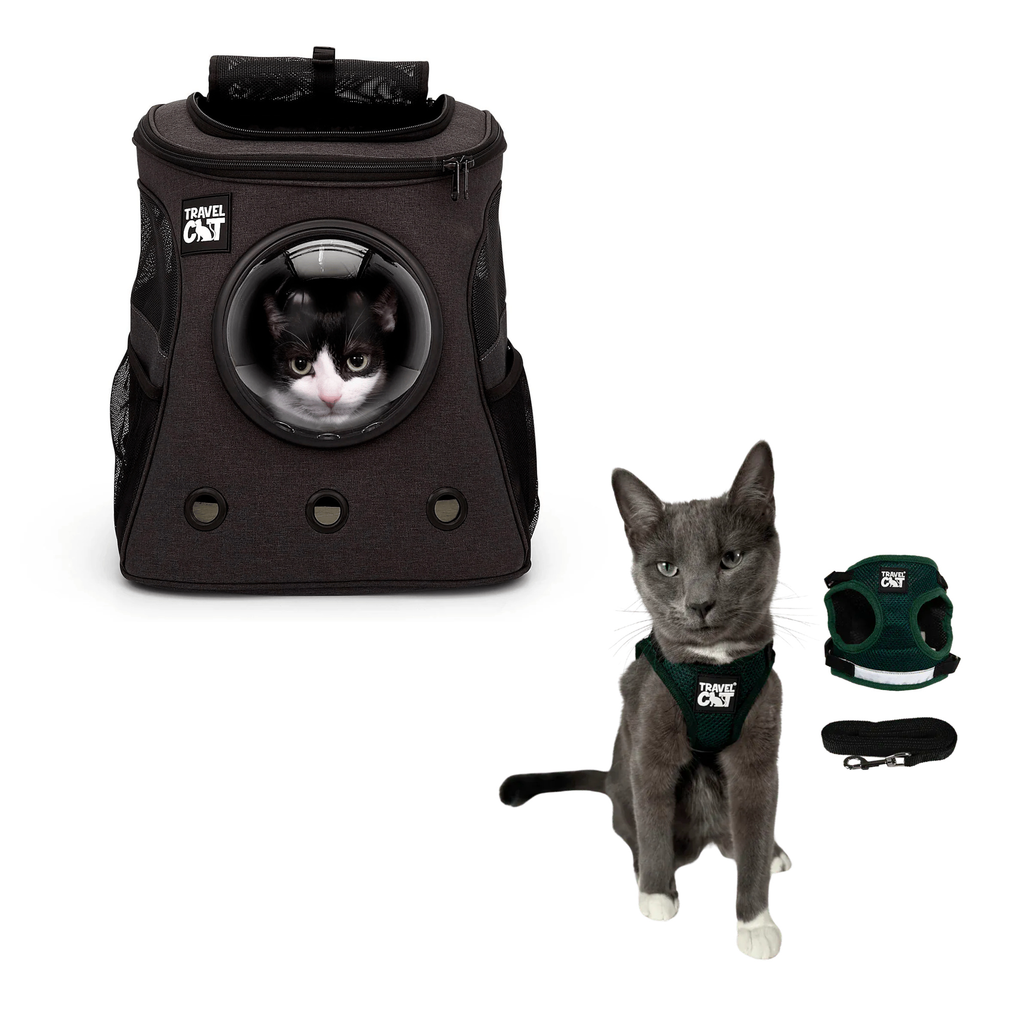 fat_cat_charcoal__emerald_1.png