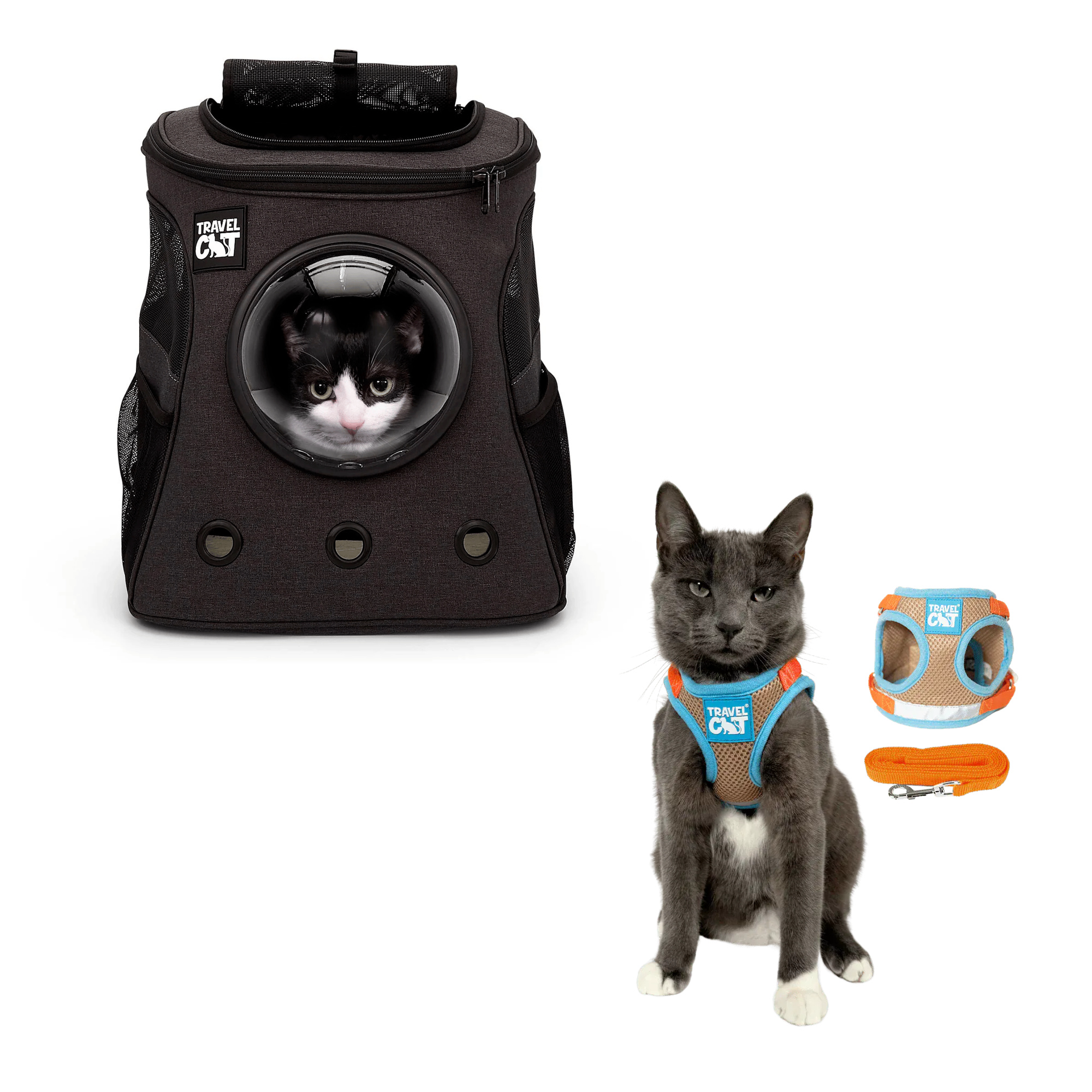 fat_cat_charcoal__oasis_1.png