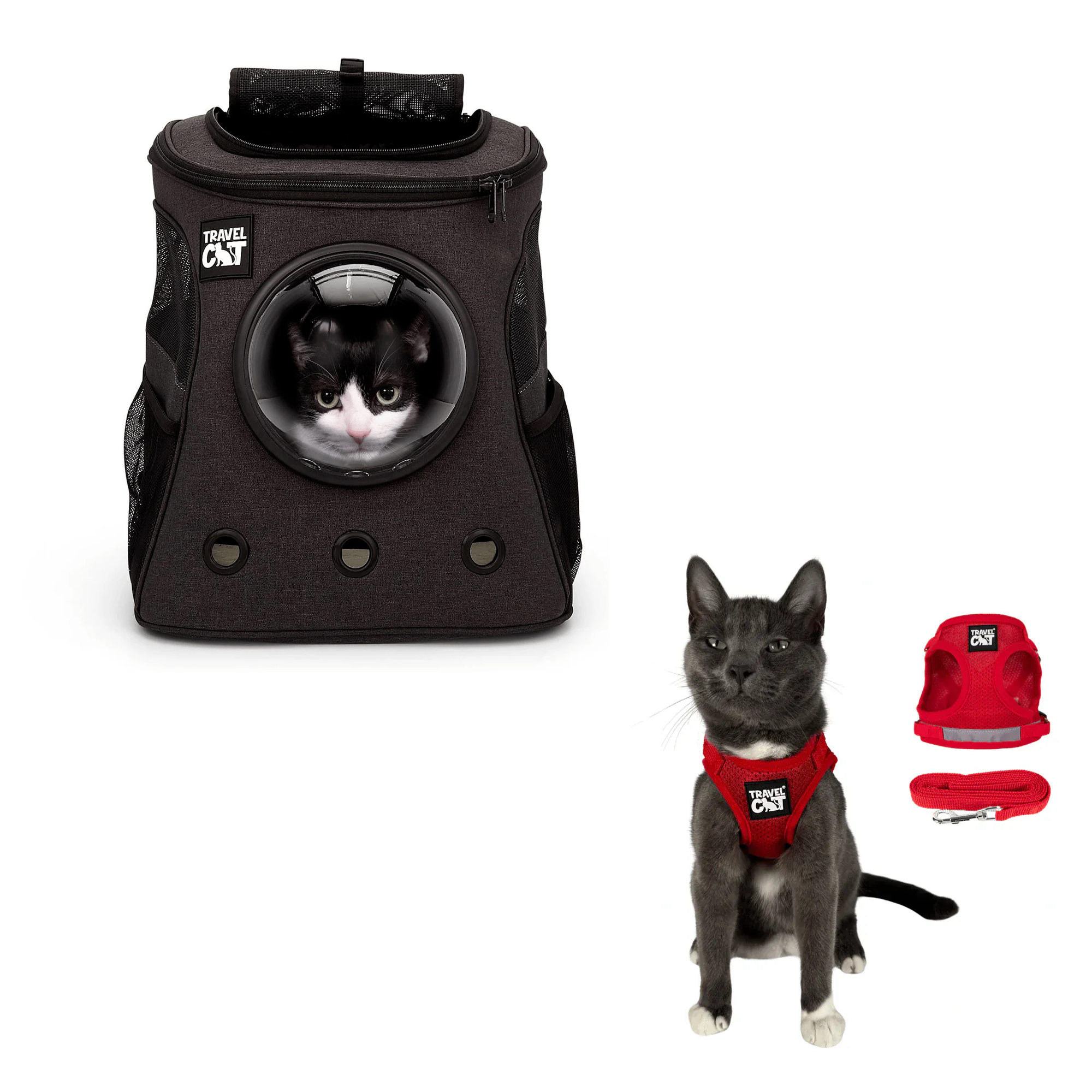 fat_cat_charcoal__red_1.png