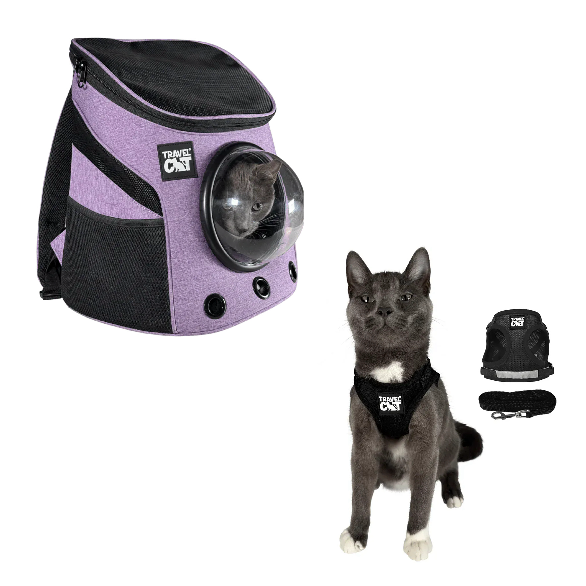 fat_cat_mini_purple__black_1.png