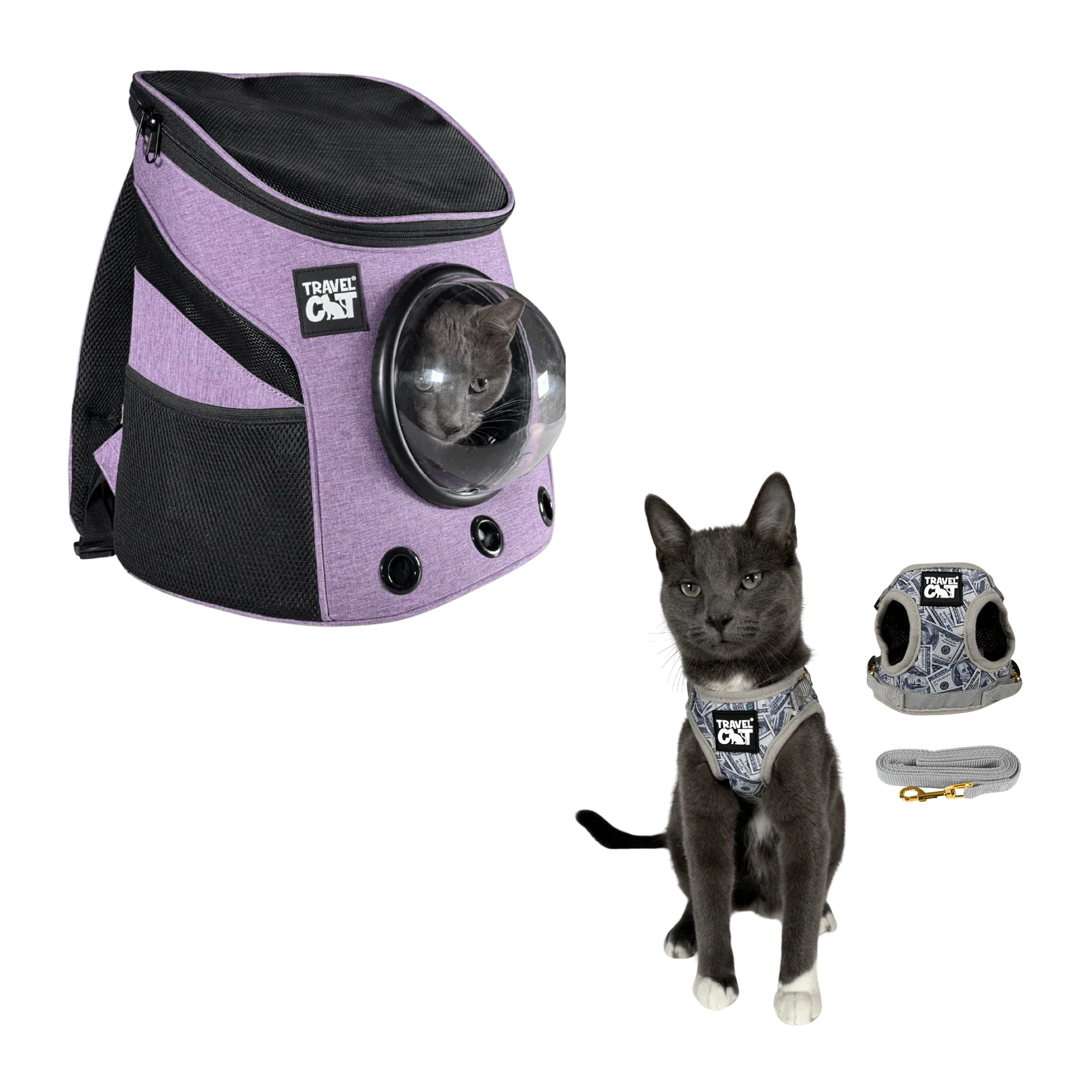 fat_cat_mini_purple__cash_cat.png