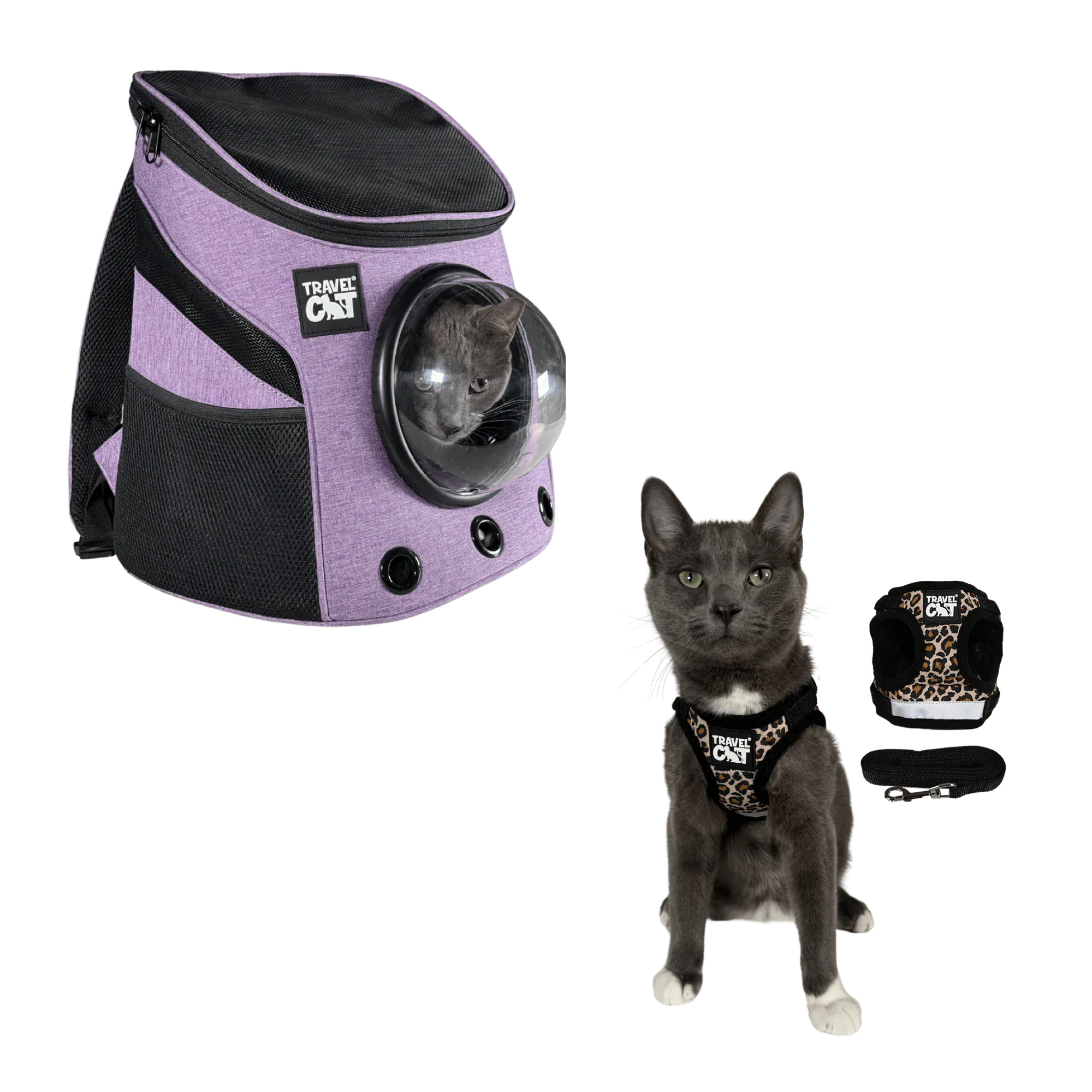 fat_cat_mini_purple__cheeta_1.png