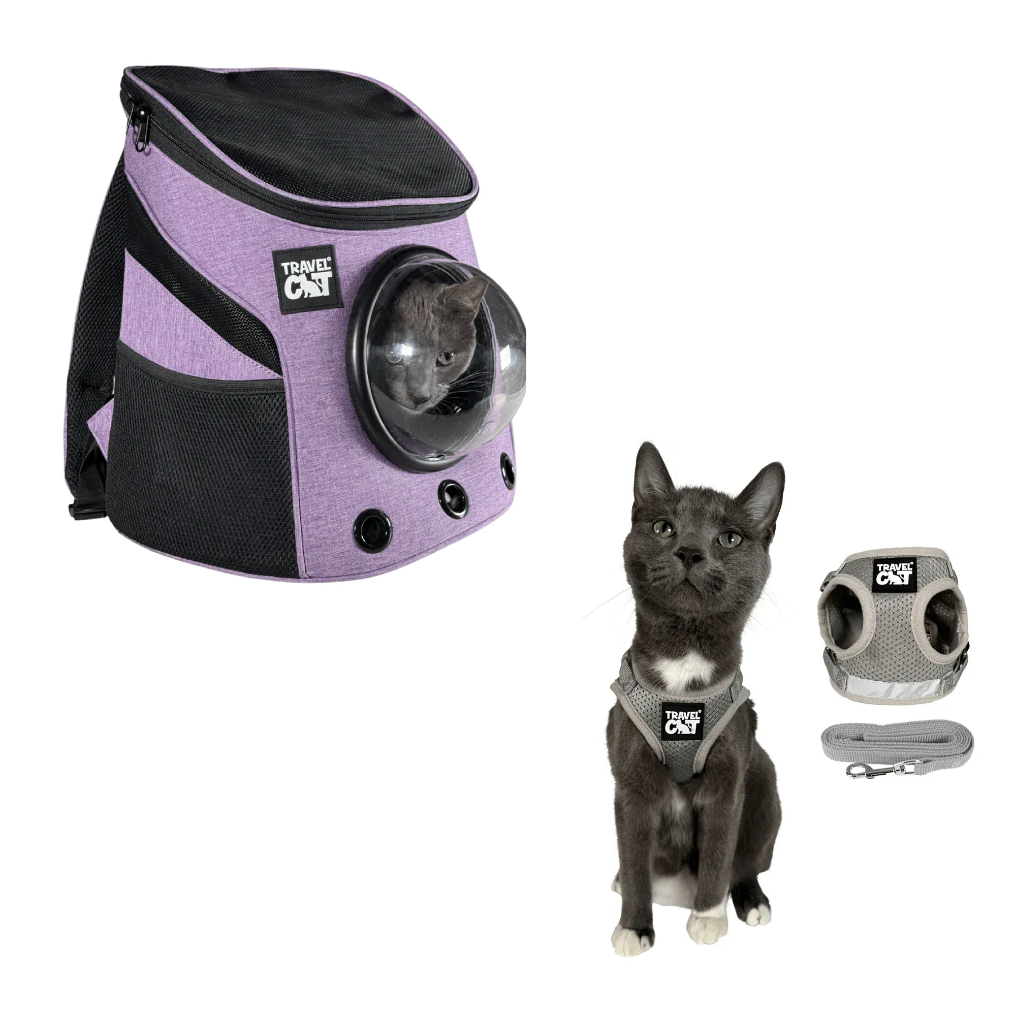 fat_cat_mini_purple__grey_1.png