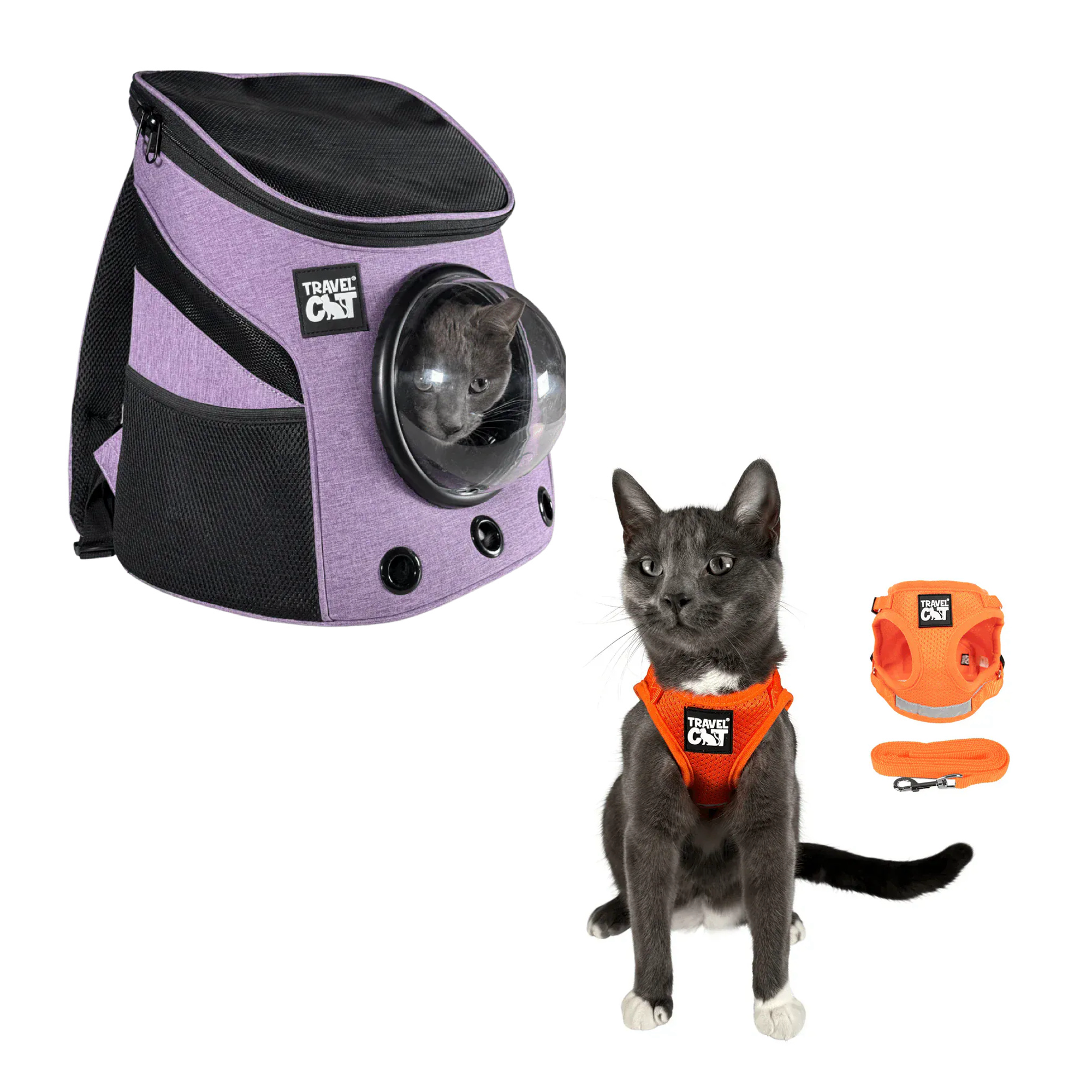 fat_cat_mini_purple__orange_1.png