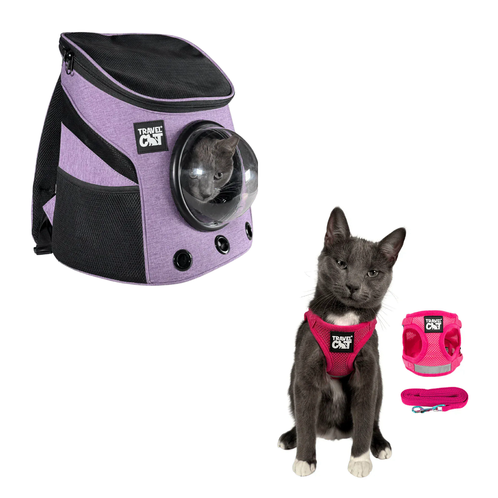 fat_cat_mini_purple__pink_2.png