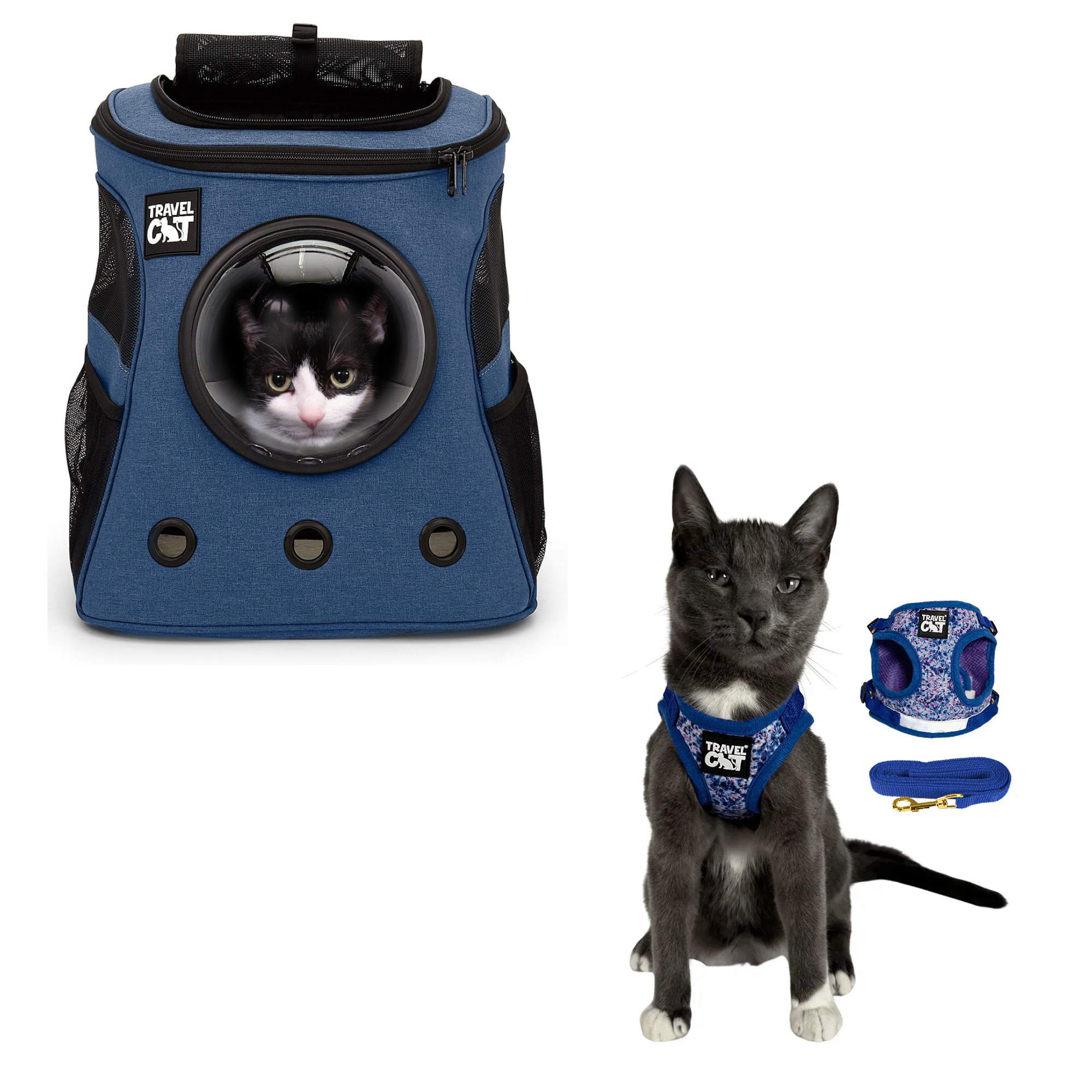 fat_cat_navy__groovy_1.png