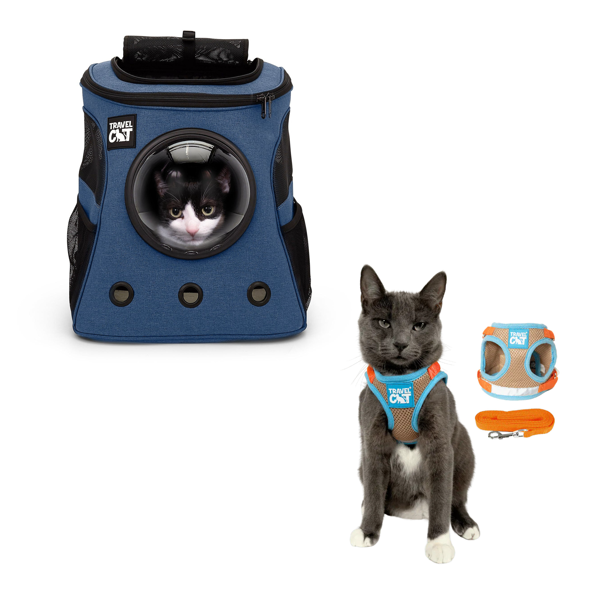 fat_cat_navy__oasis_1.png