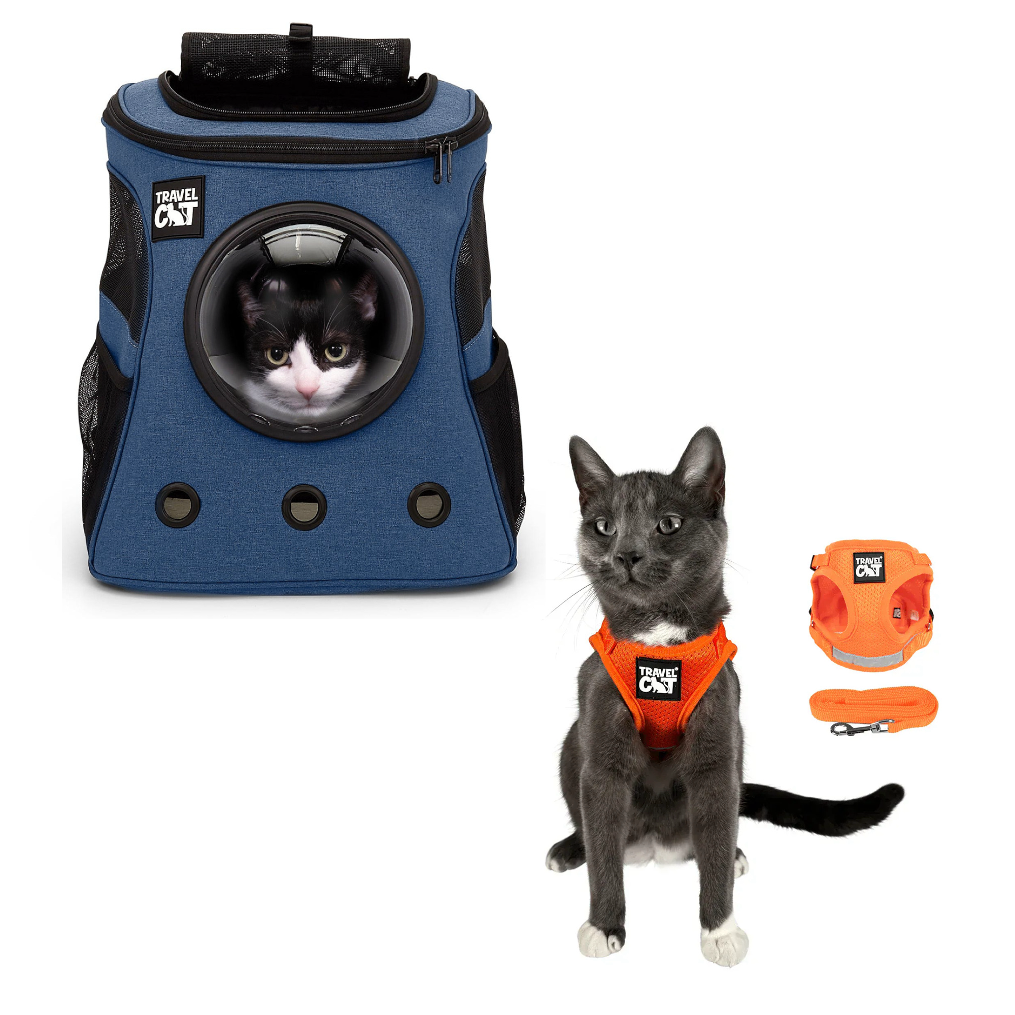 fat_cat_navy__orange_1.png