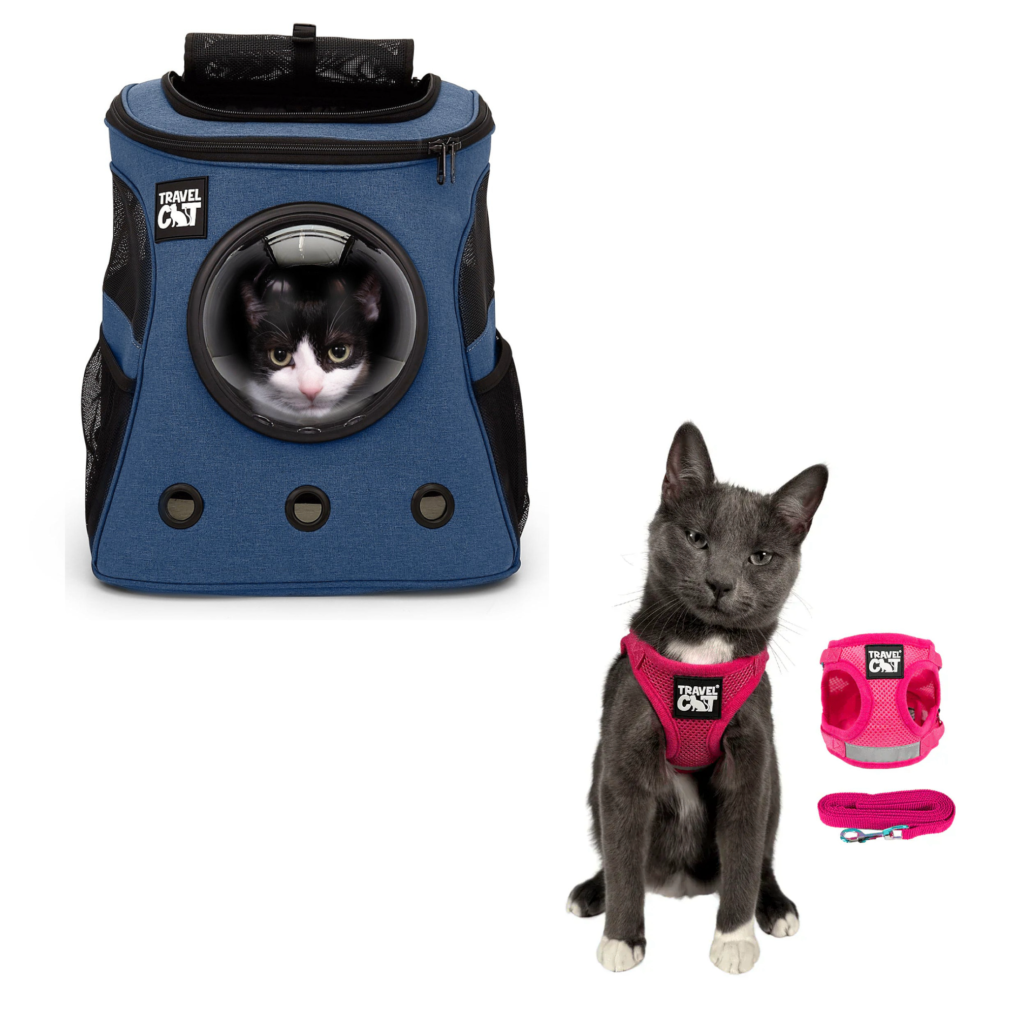 fat_cat_navy__pink_2-1.png