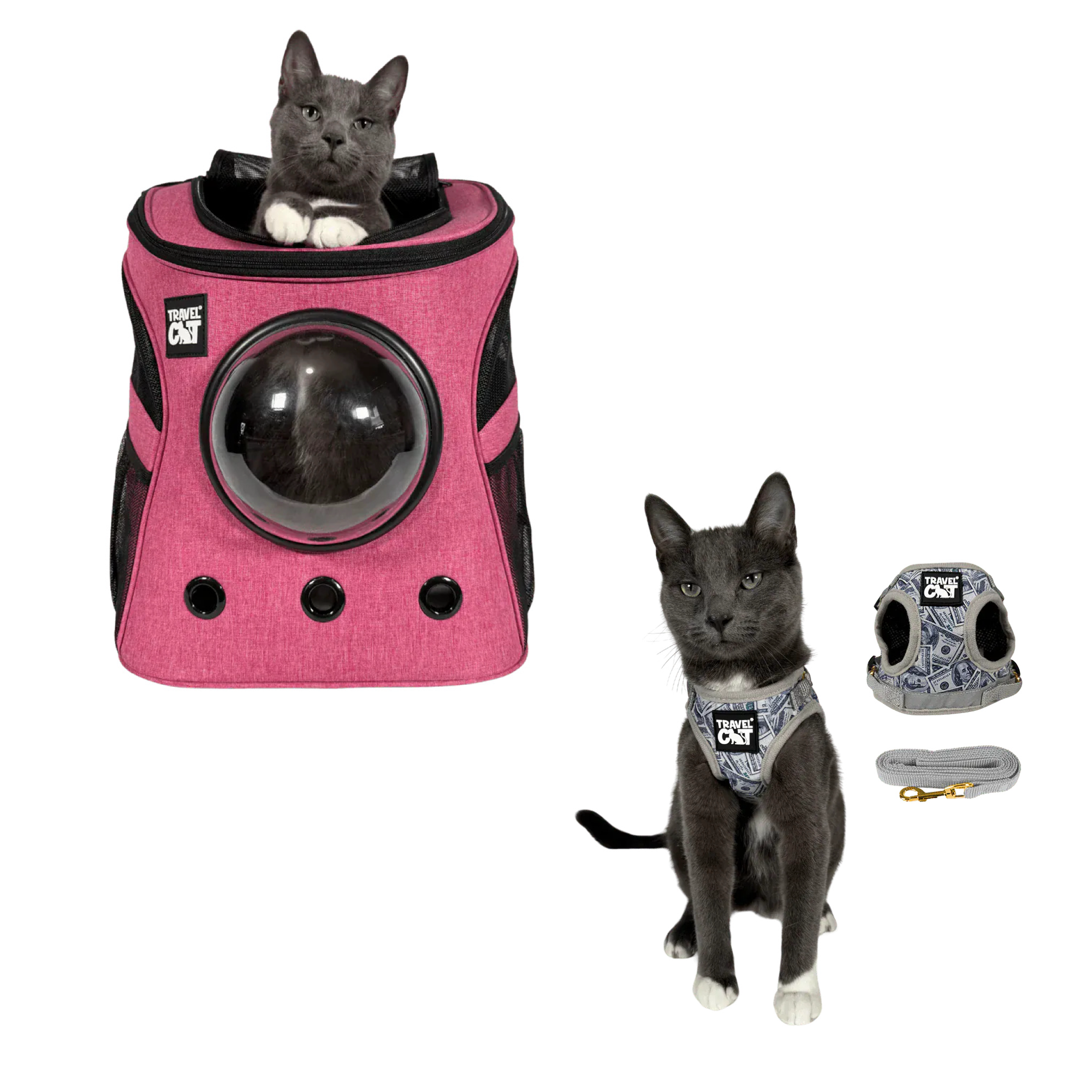 fat_cat_pink__cash_cat.png