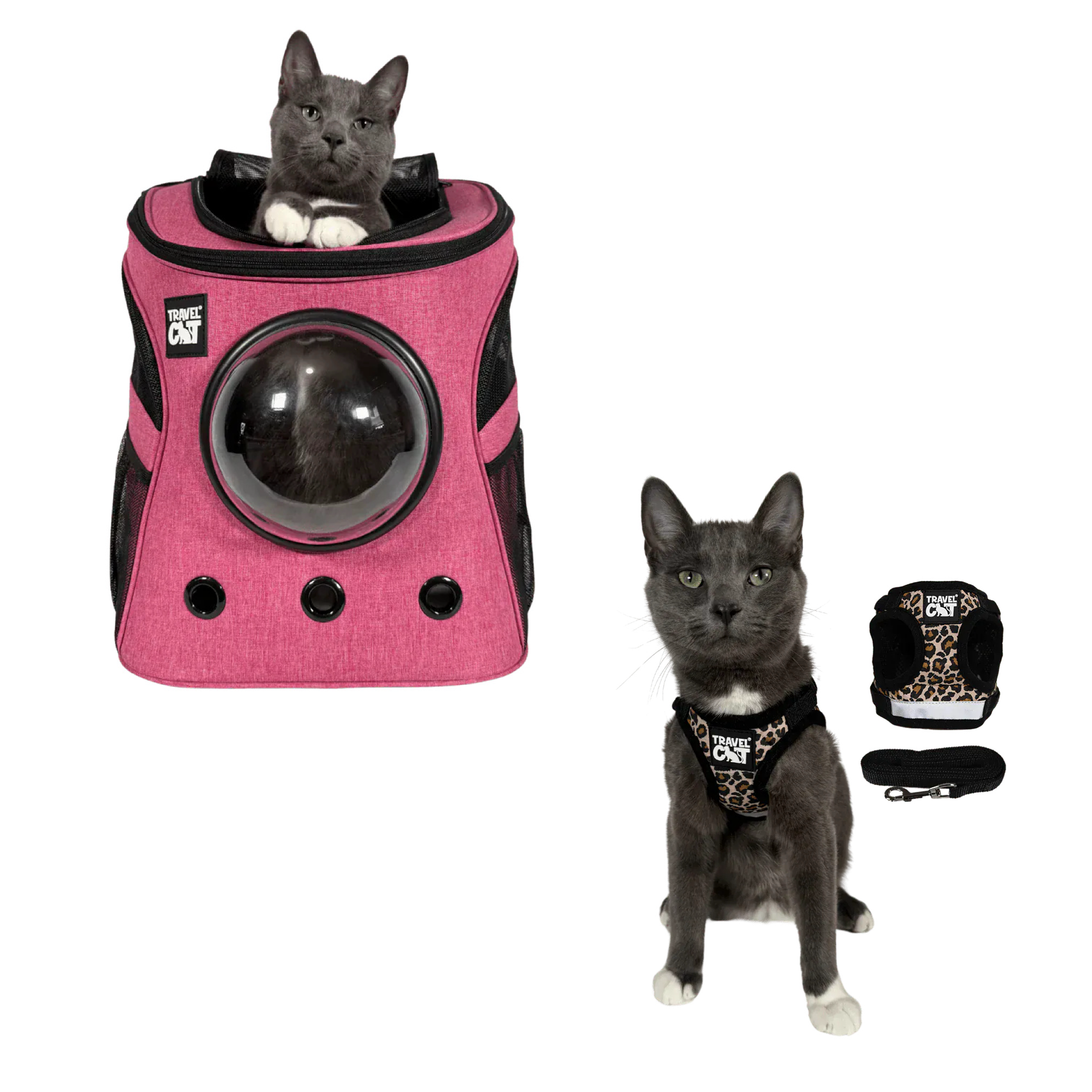 fat_cat_pink__cheeta_1.png