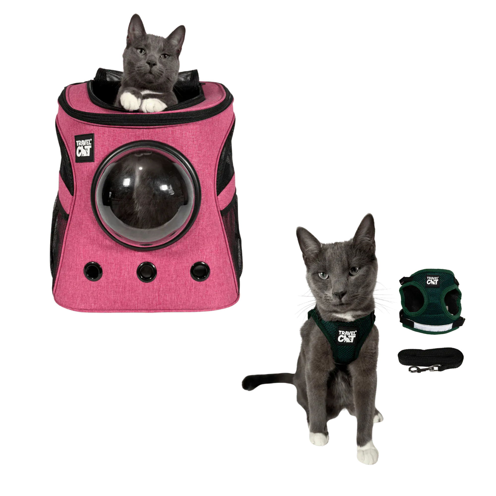 fat_cat_pink__emerald_1.png