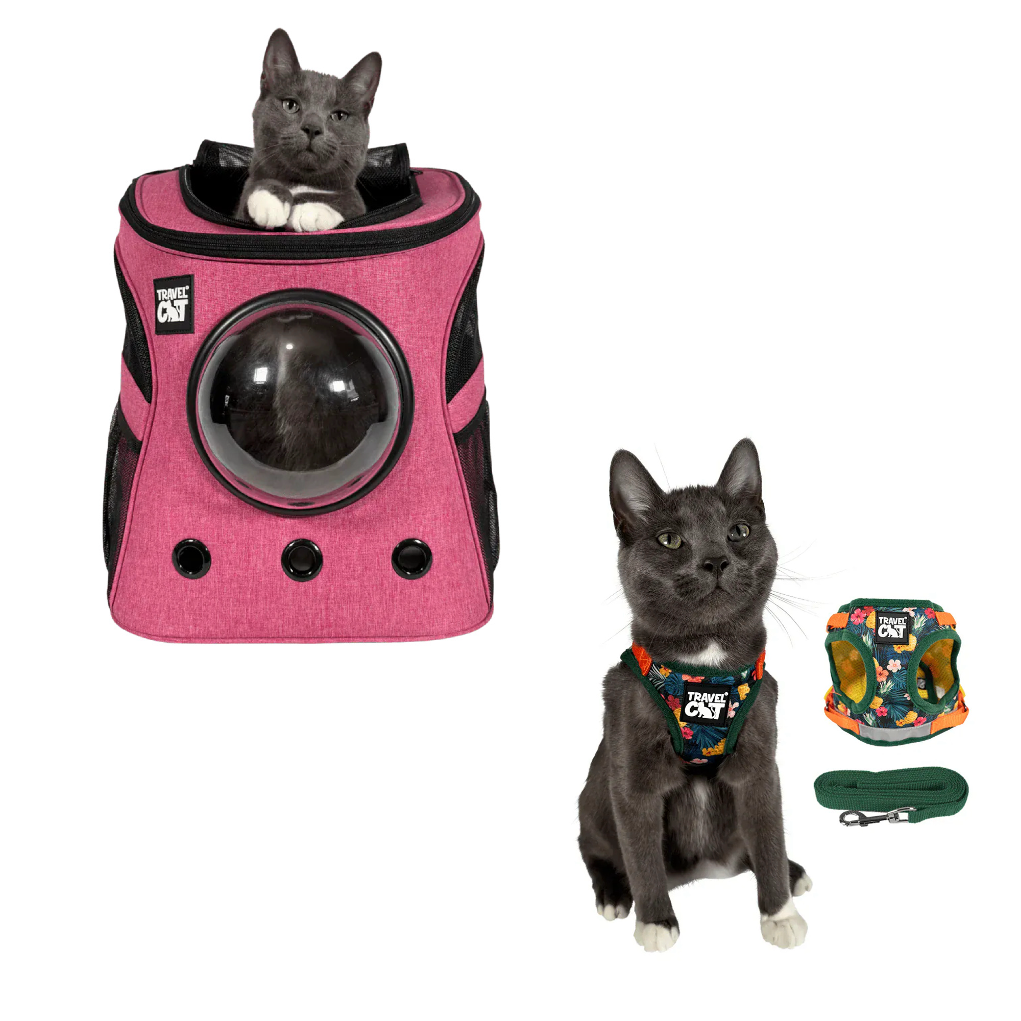 fat_cat_pink__hawaiian_1.png