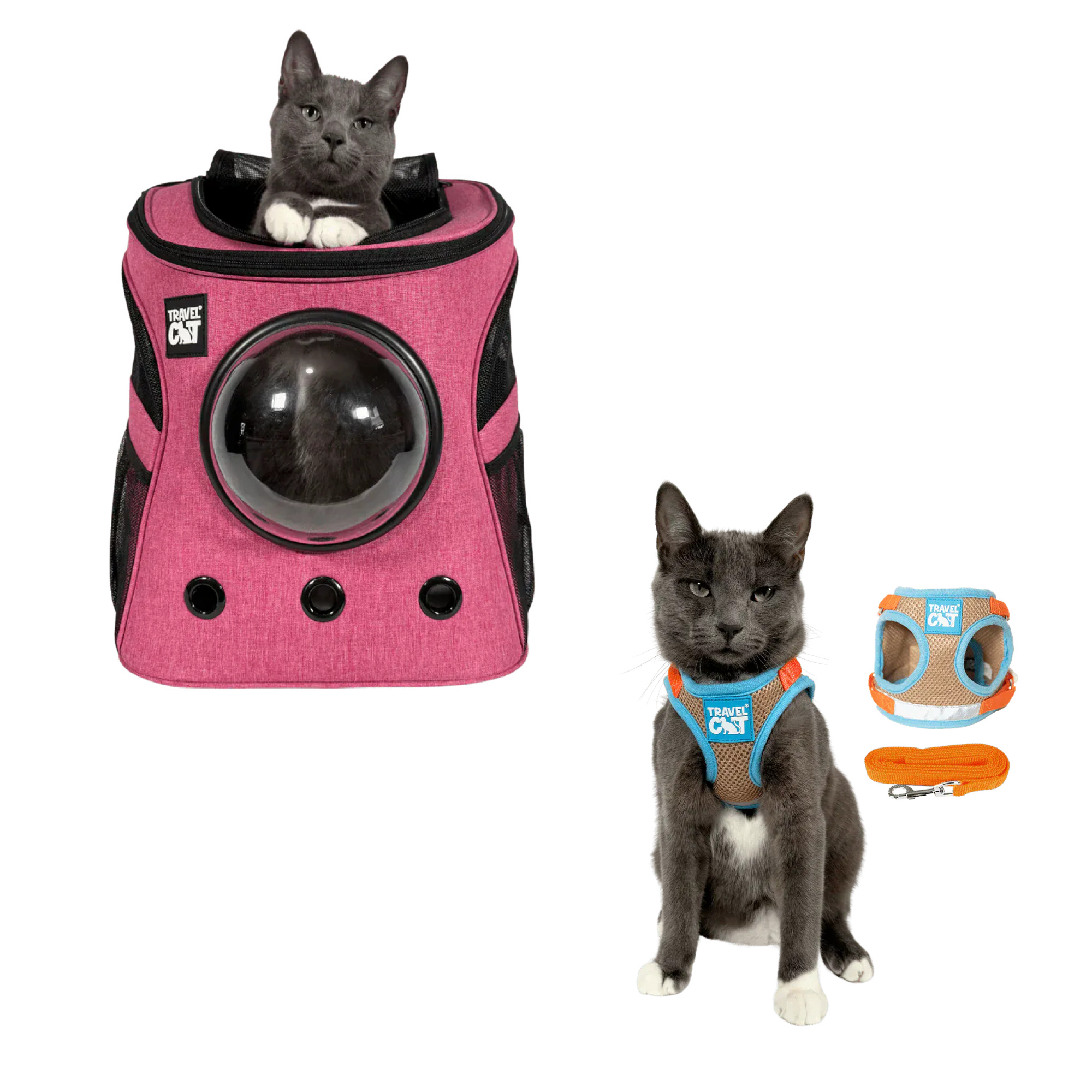 fat_cat_pink__oasis_1.png