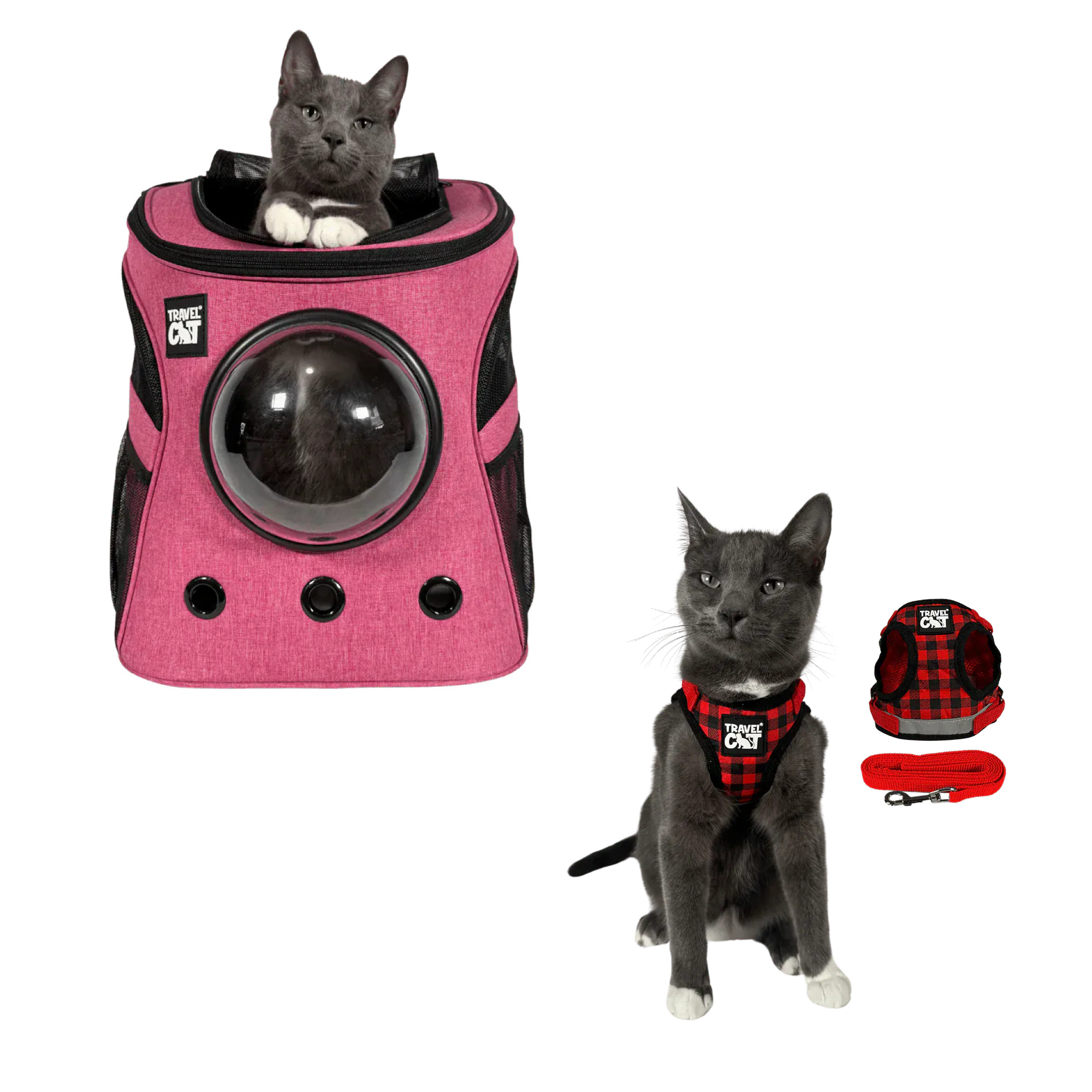 fat_cat_pink__plaid_1.png