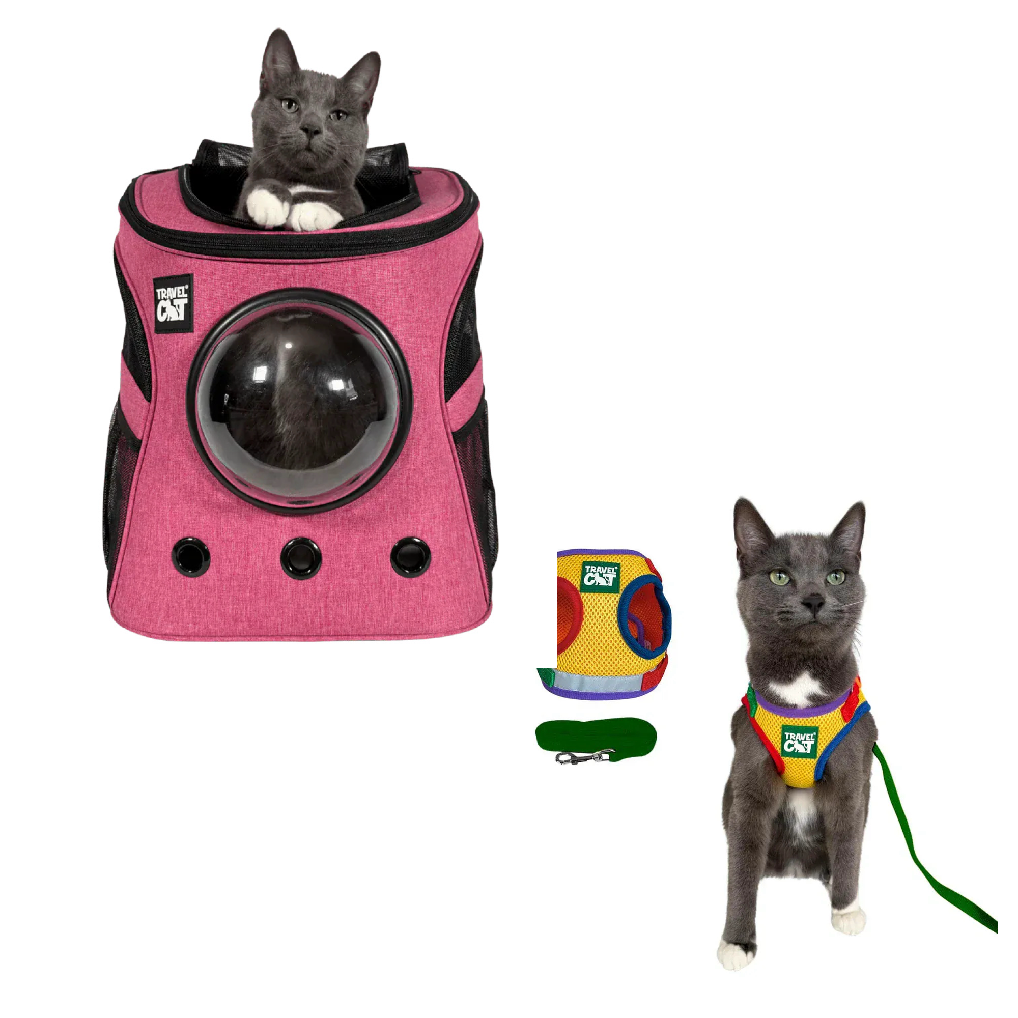 fat_cat_pink__rainbow_1.png