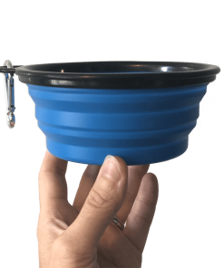 "The Go Anywhere Bowl" Collapsible Travel Pet Food and Water Dish For Cats