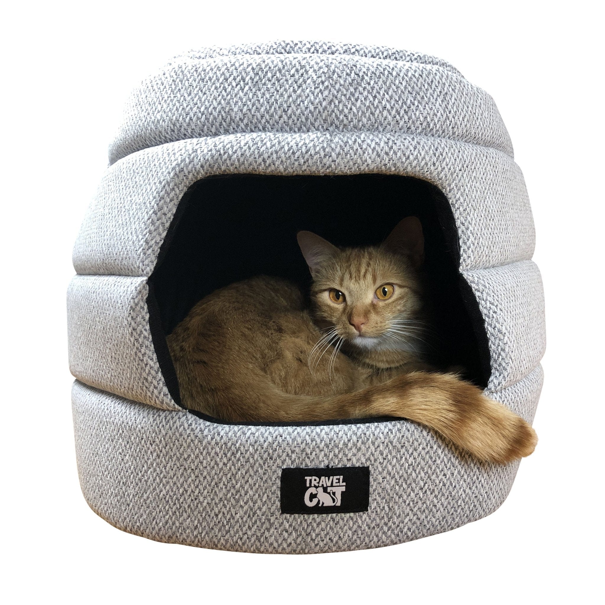 meowbilehomewilfieinside_1024x1024_2x_a5e3a73a-12bd-4f8f-b545-9b84cda47afa.jpg