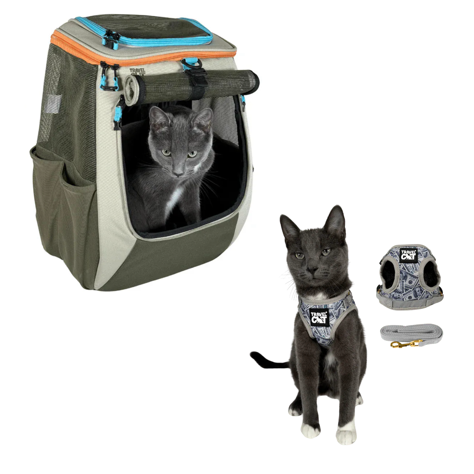 nav_earth__cash_cat.png