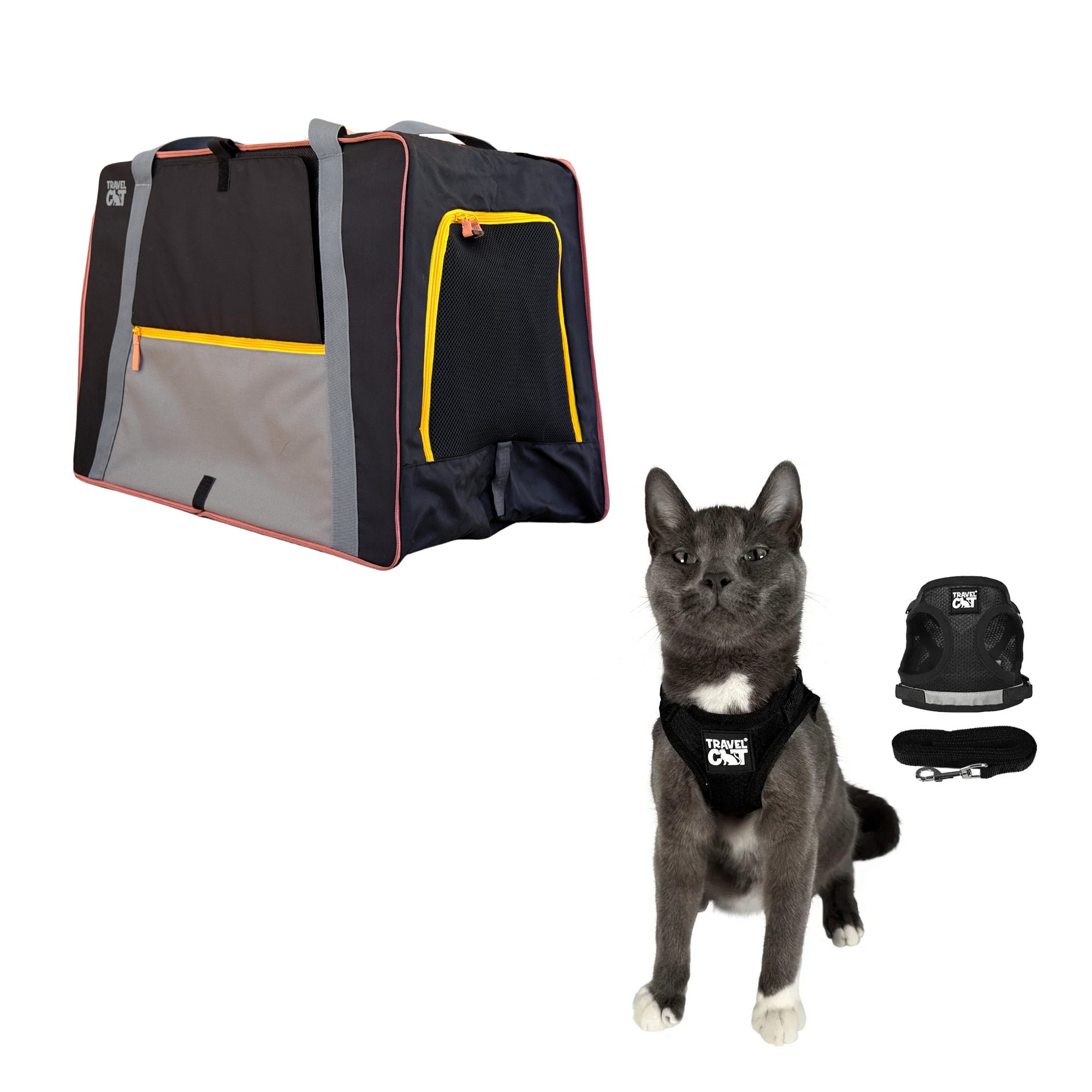 pack_n_paw__black_1.png