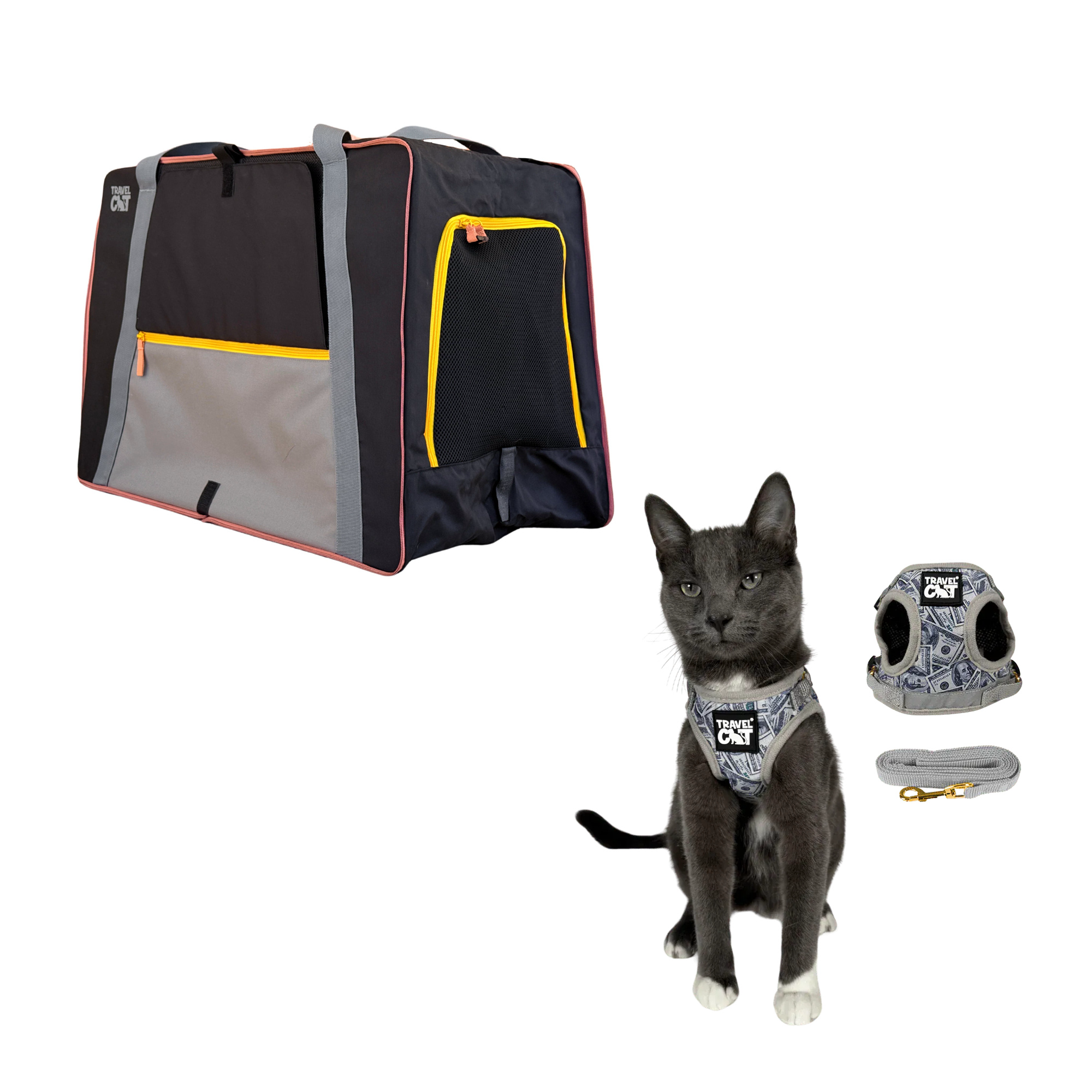 pack_n_paw__cash_cat.png