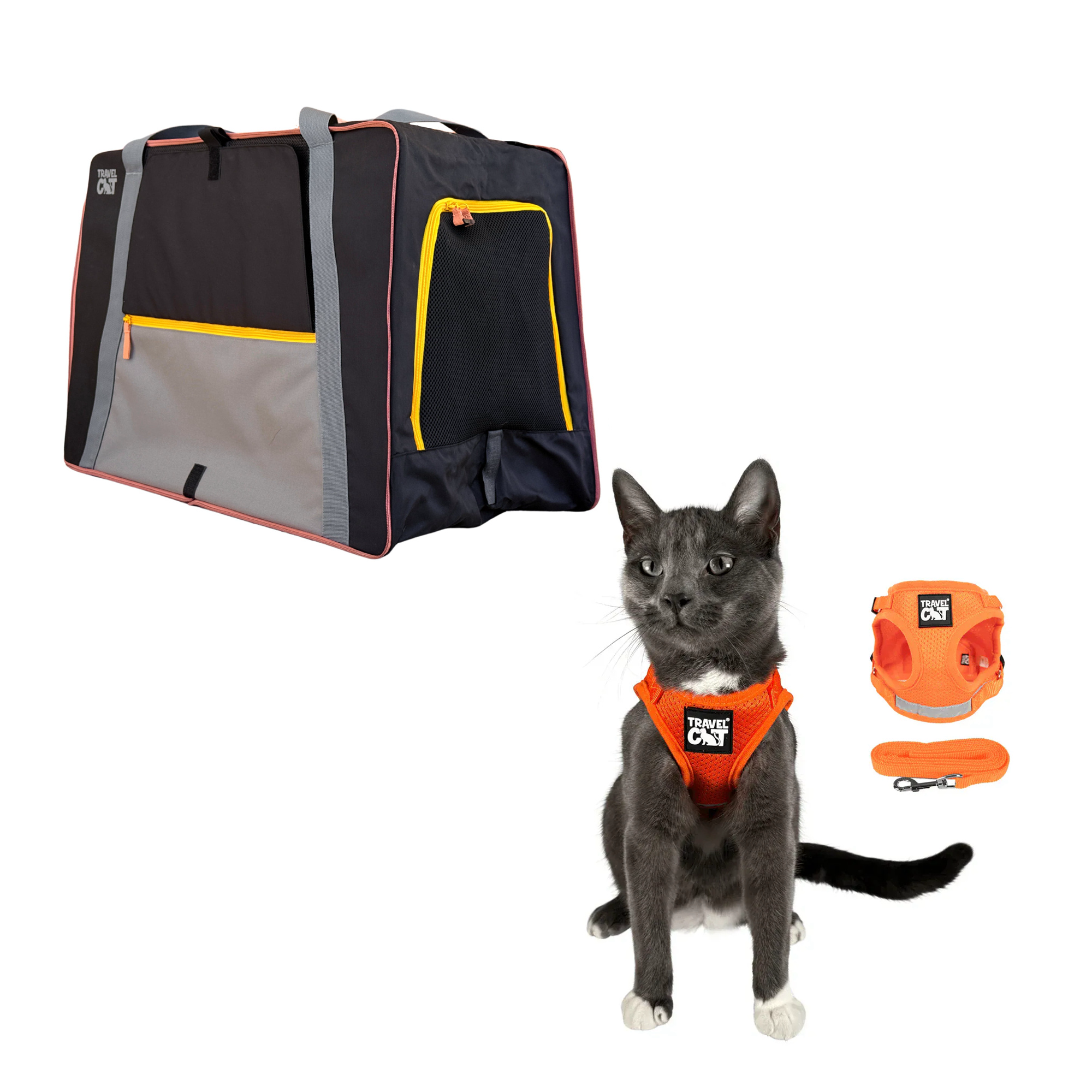 pack_n_paw__orange_1.png