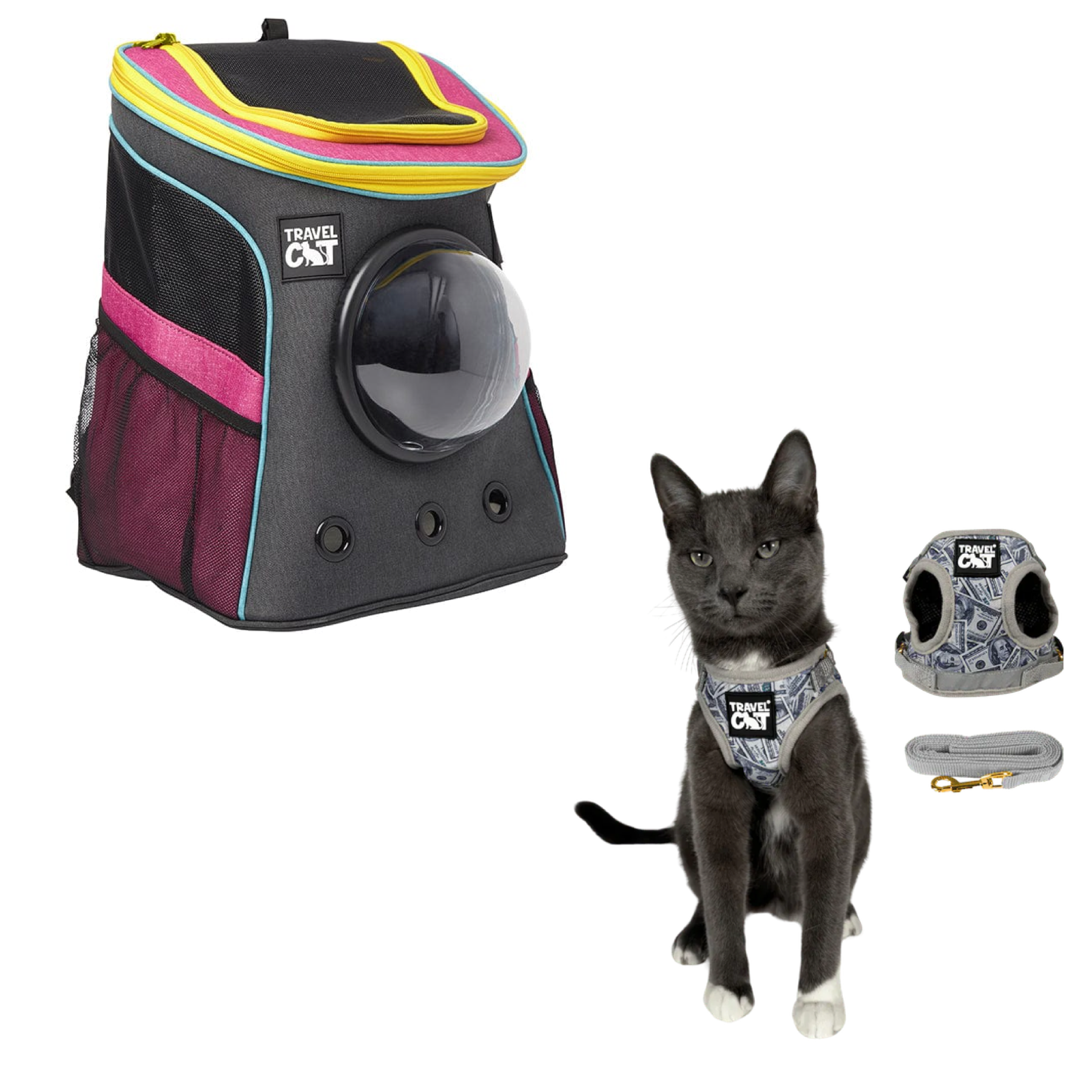 stray_backpack_7d14a9f6-1122-47d4-a025-3c627084d396__cash_cat.png